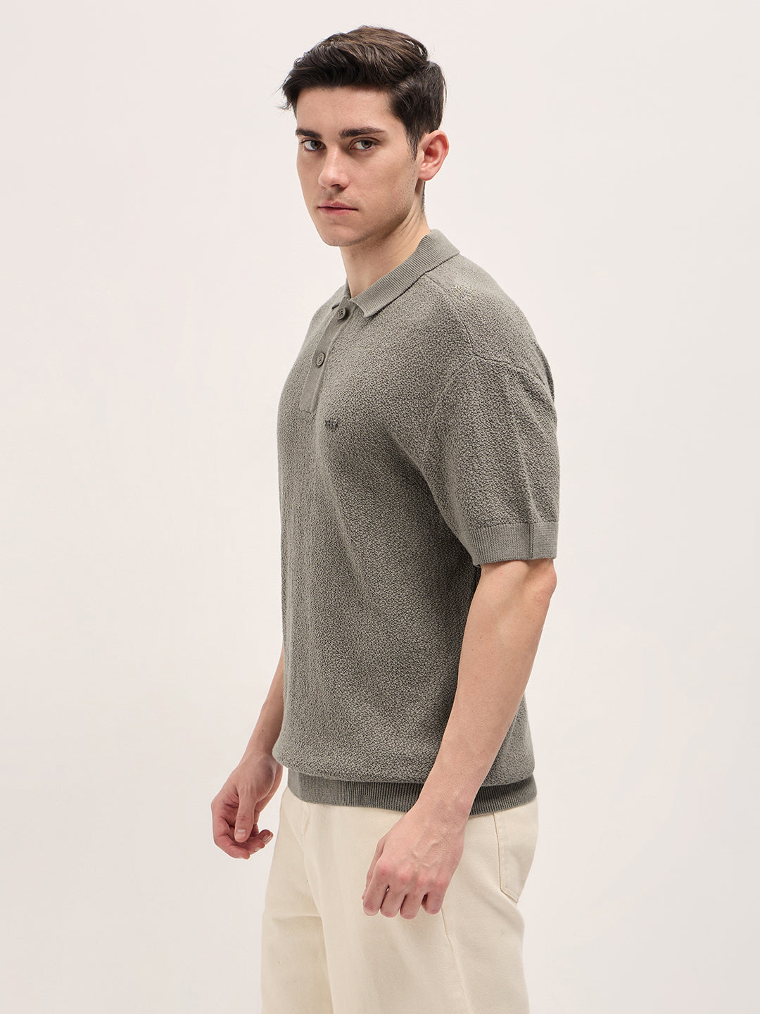Men Brown Solid Texture Knit Design Regular Fit Polo