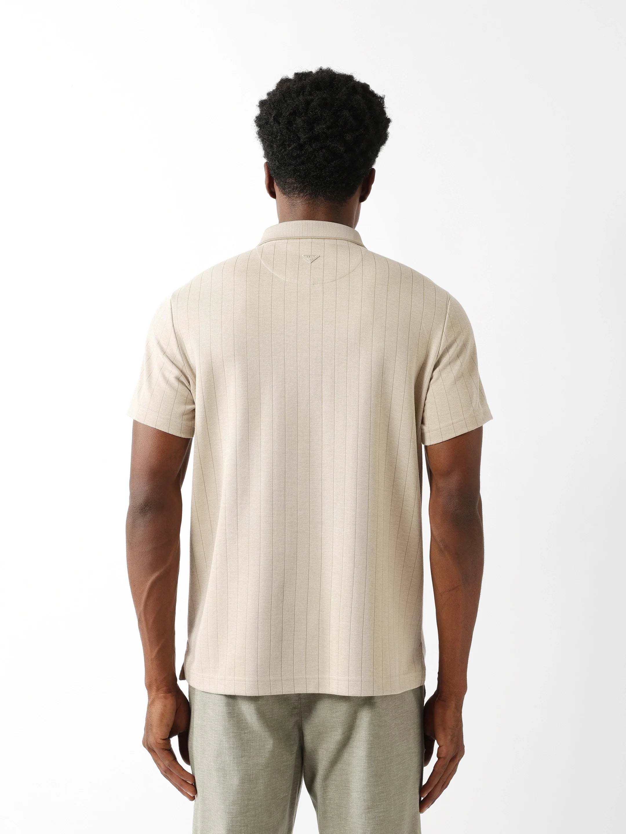 Men Beige Regular Fit Polo