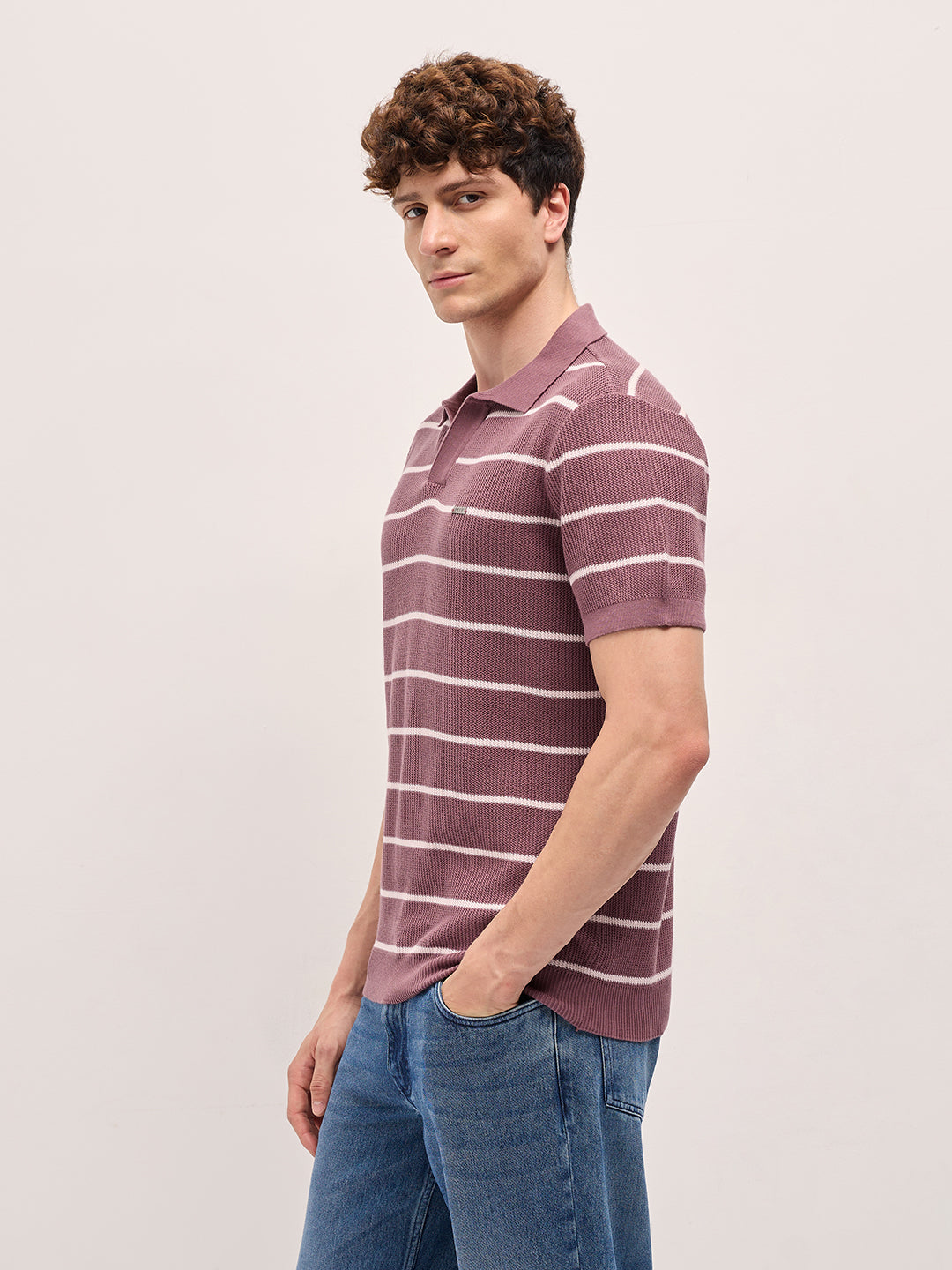 Men Purple Texture Horizontal Stripes Slim Fit Polo