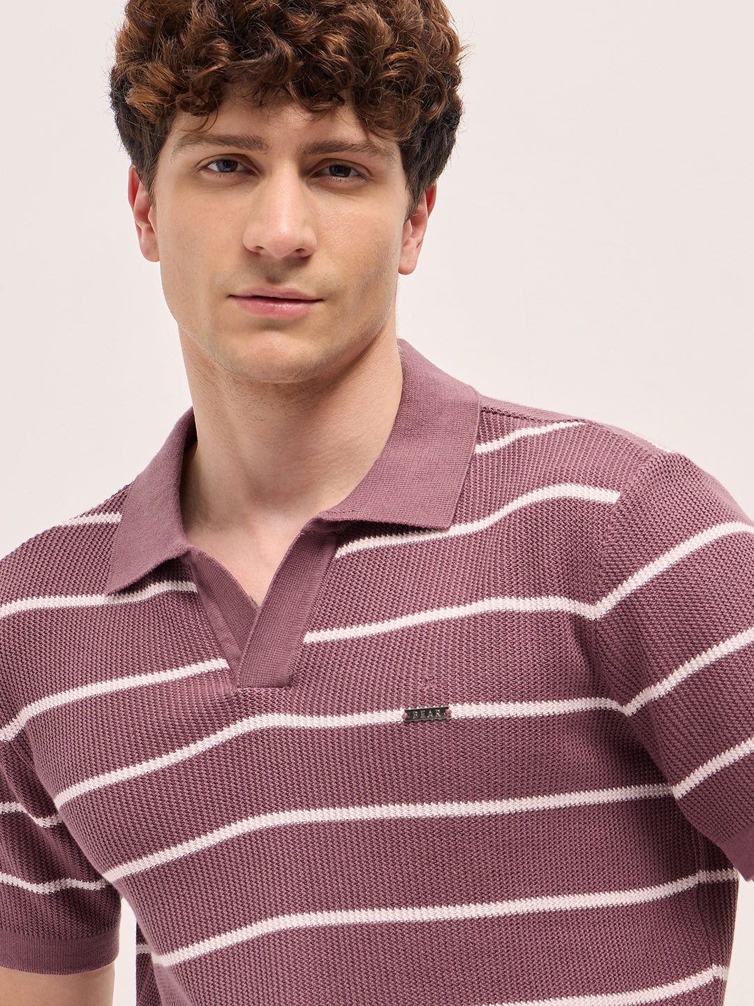 Men Purple Texture Horizontal Stripes Slim Fit Polo