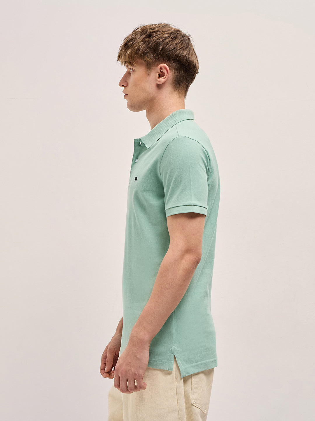 Men Light Green Solid Regular Fit Polo