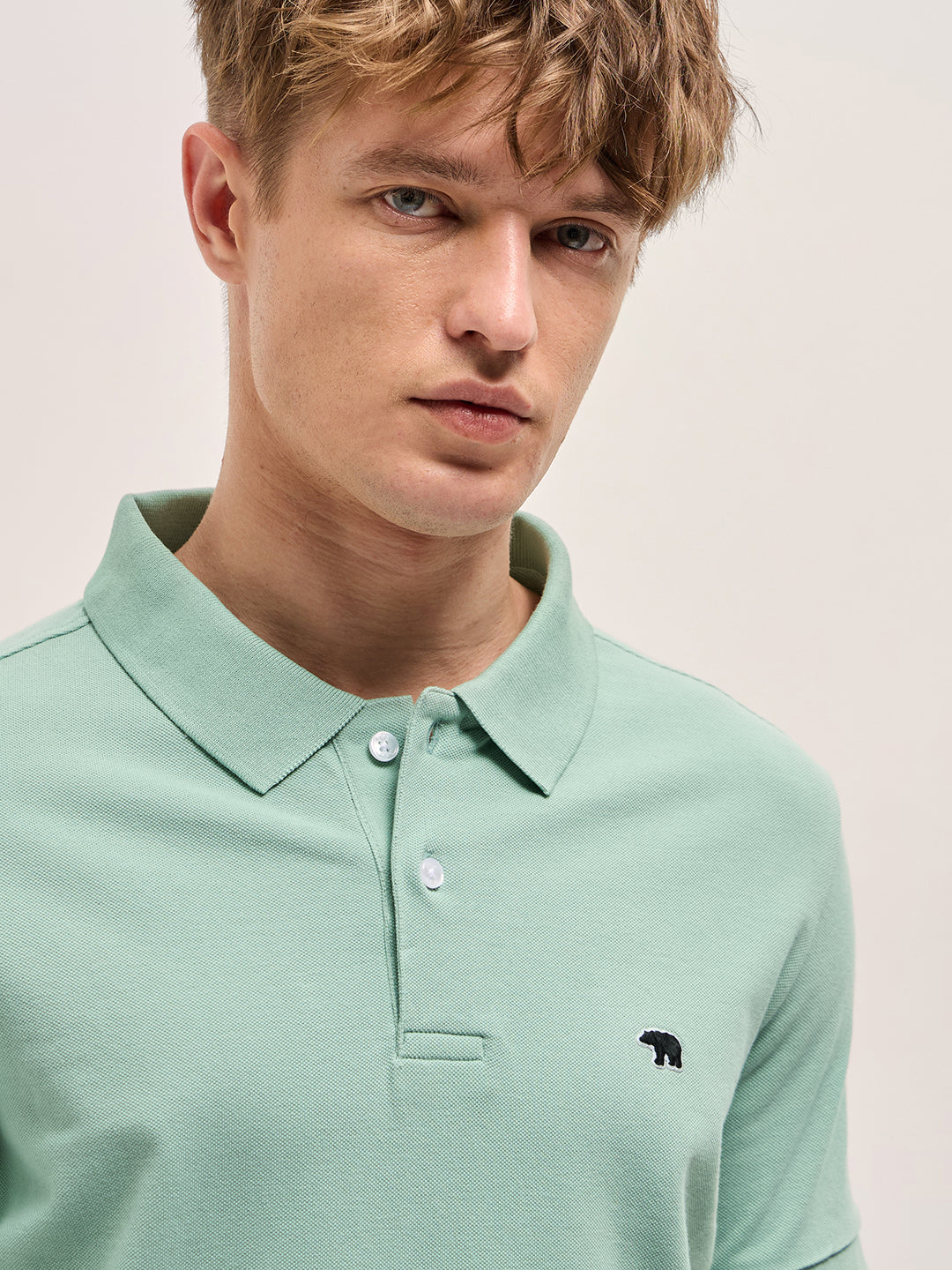 Men Light Green Solid Regular Fit Polo
