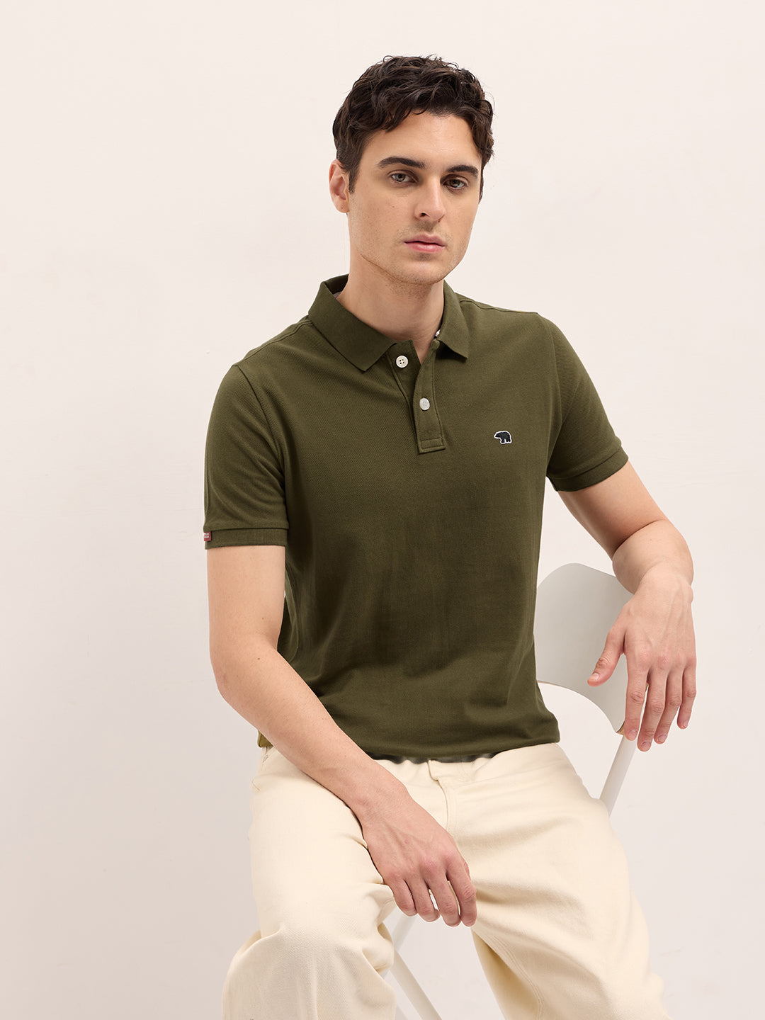 Men Dark Green Solid Regular Fit Polo