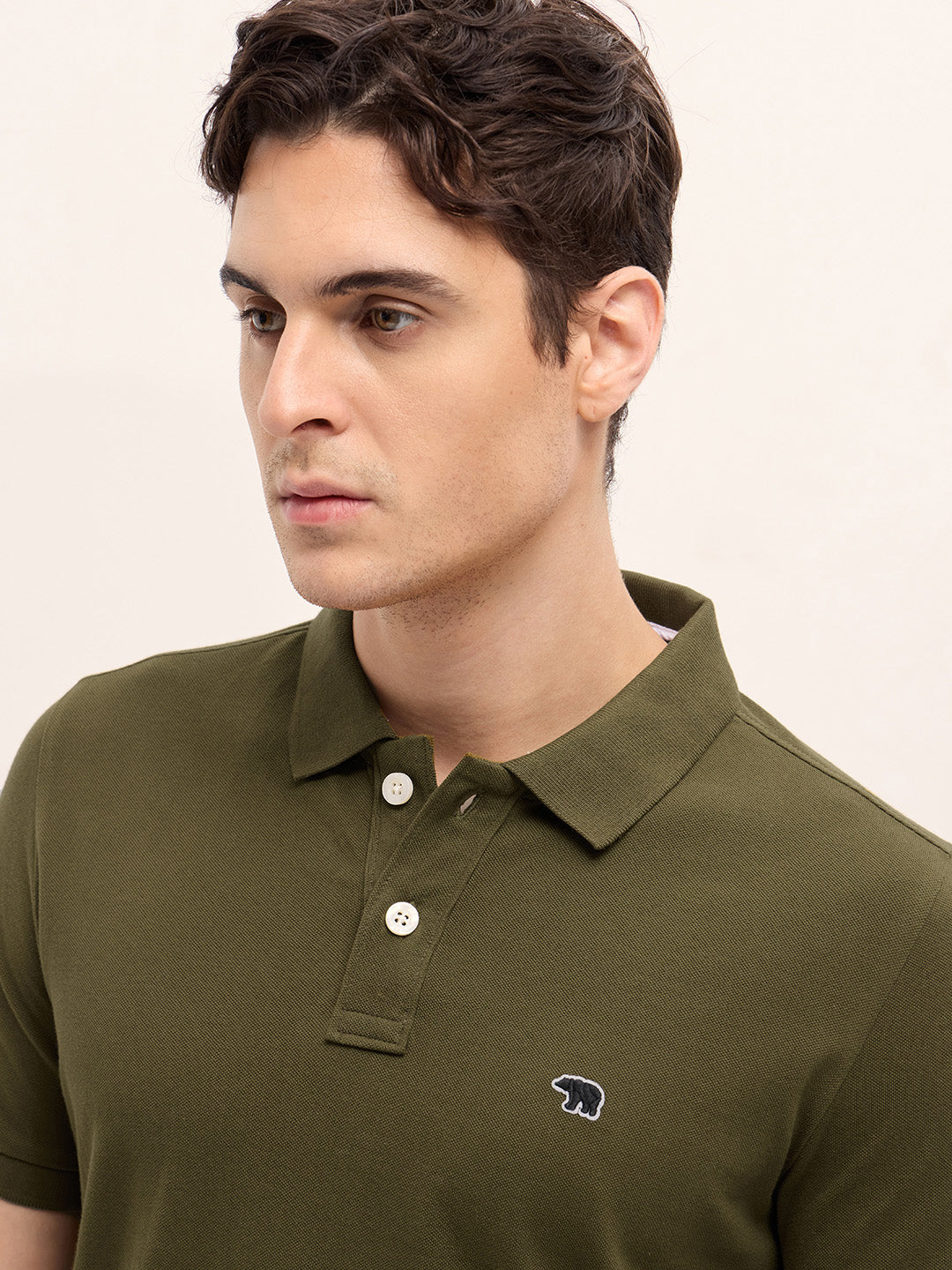 Men Dark Green Solid Regular Fit Polo