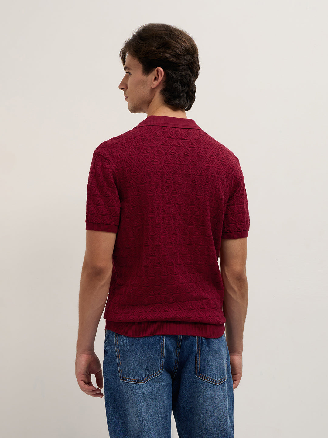 Men Maroon Textured Knit Design Regular Fit Polo