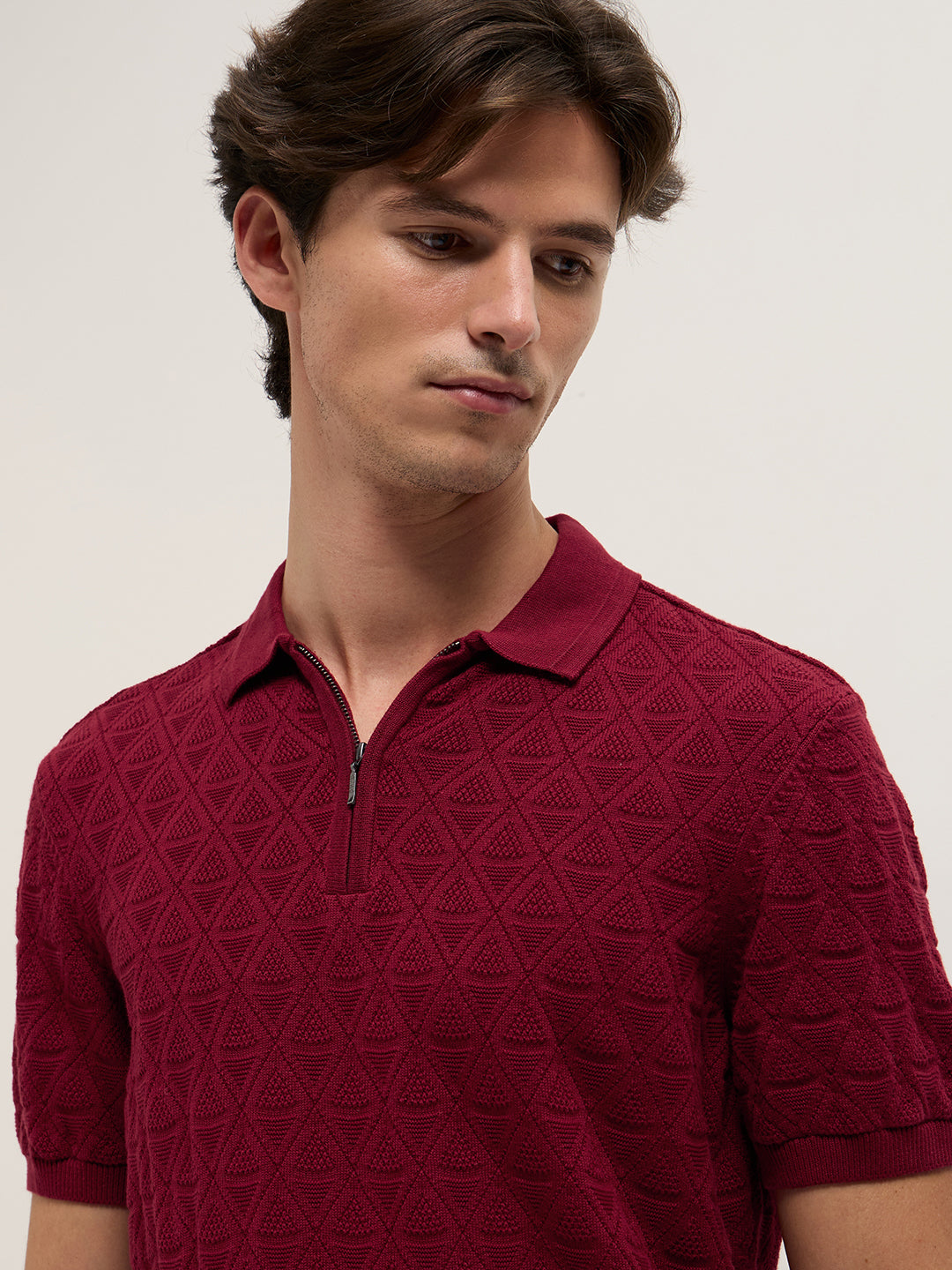 Men Maroon Textured Knit Design Regular Fit Polo