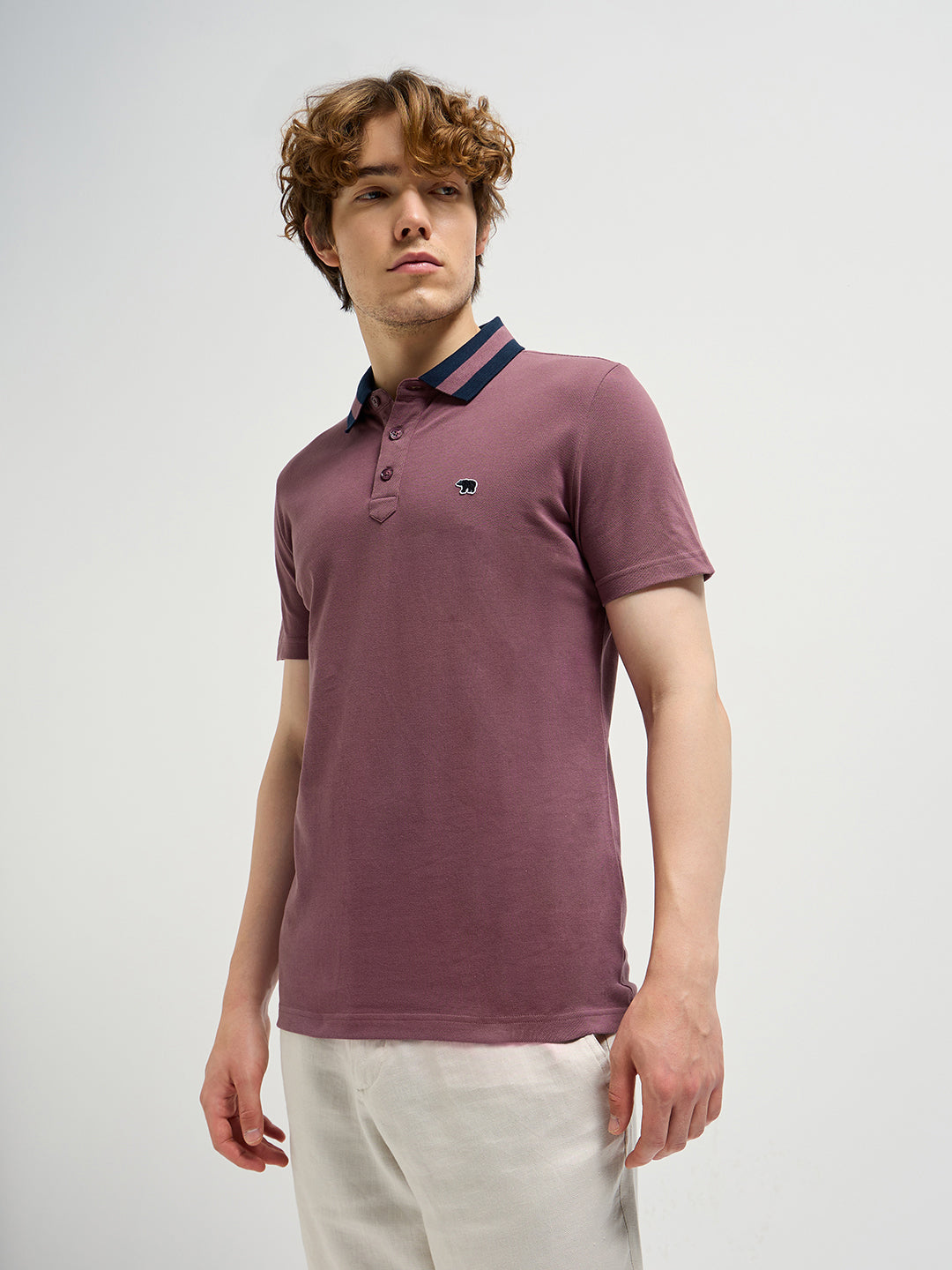 Men Purple Polo T-shirt