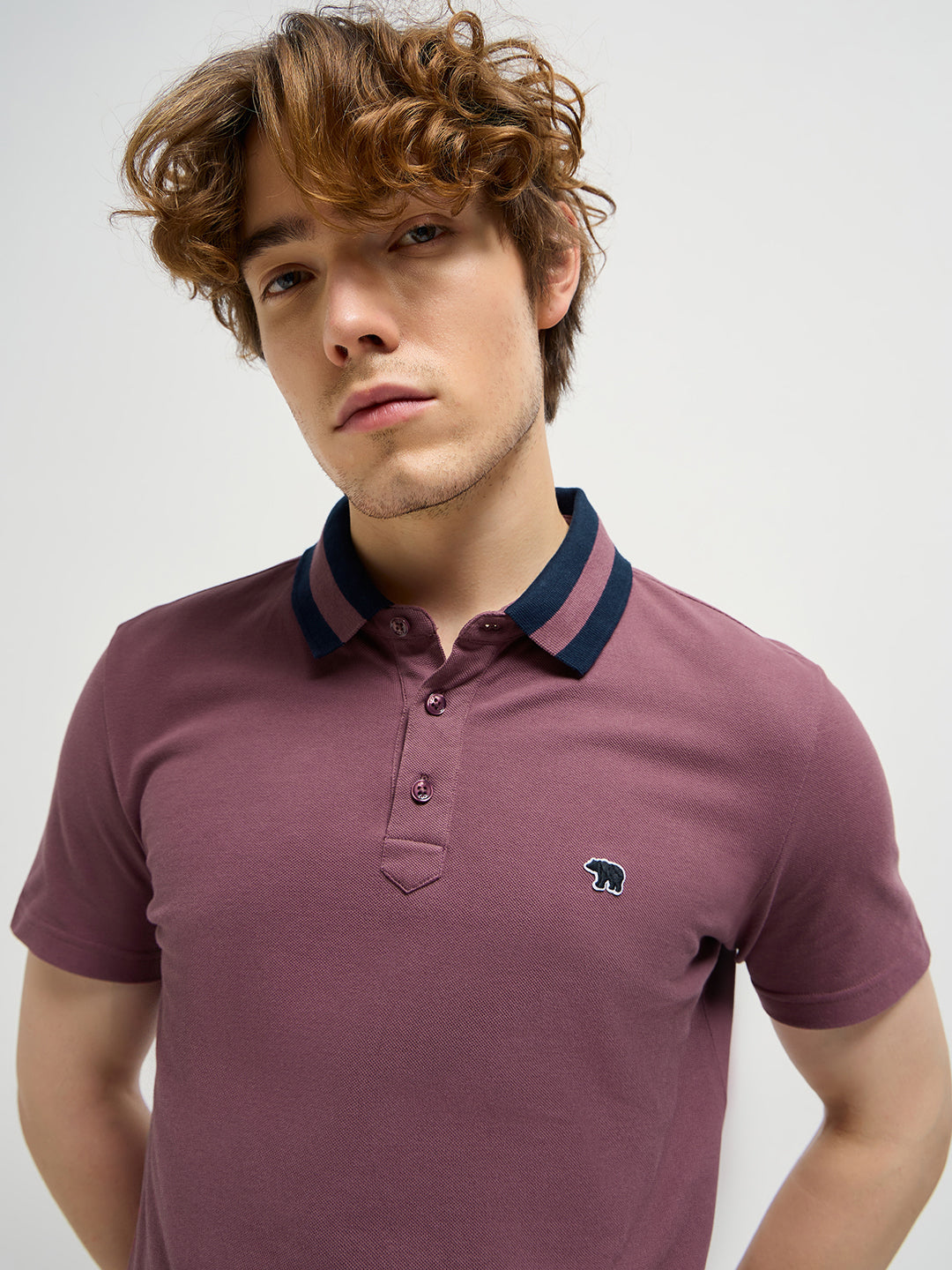 Men Purple Polo T-shirt
