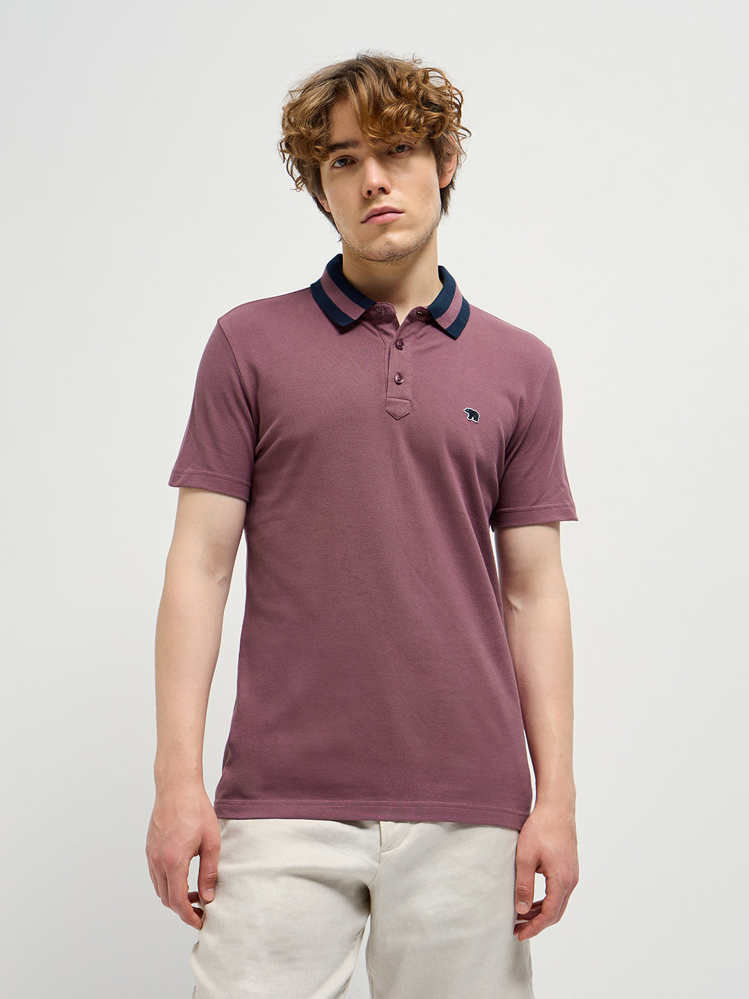 Men Purple Polo T-shirt