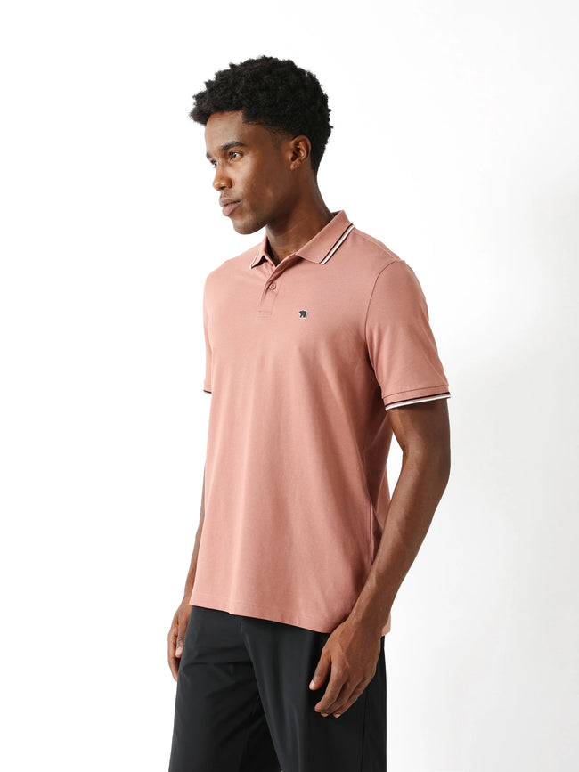 Men Pink Solid Polo