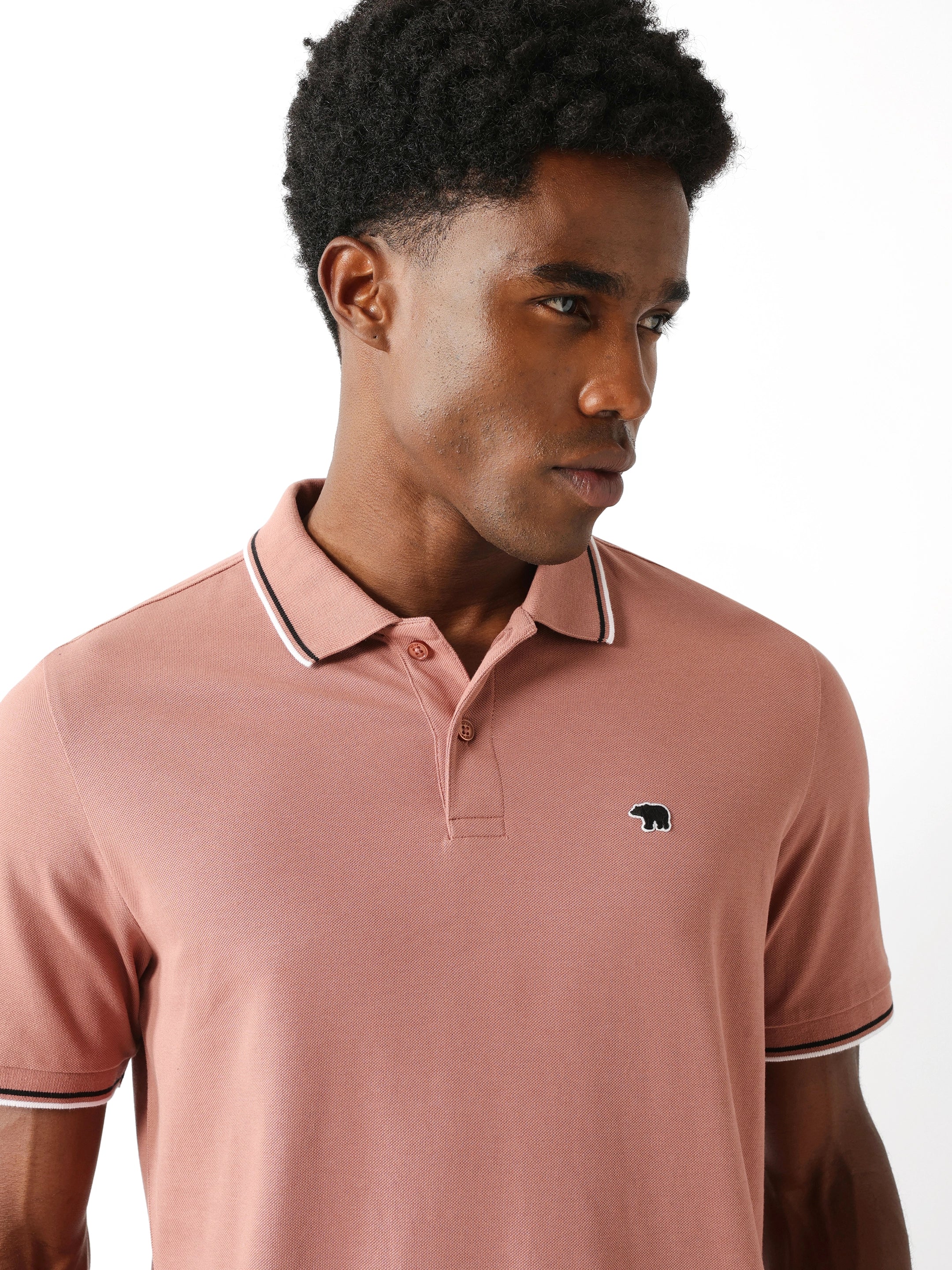 Men Pink Solid Polo