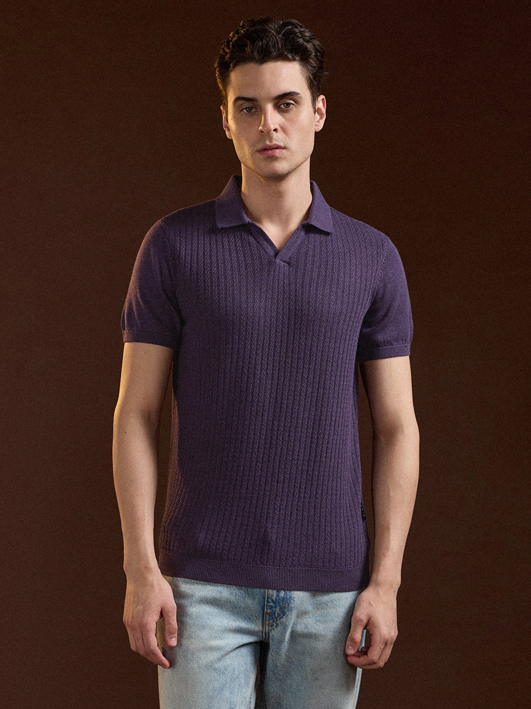 Men Purple Ribbed Texture Design Slim Fit Polo