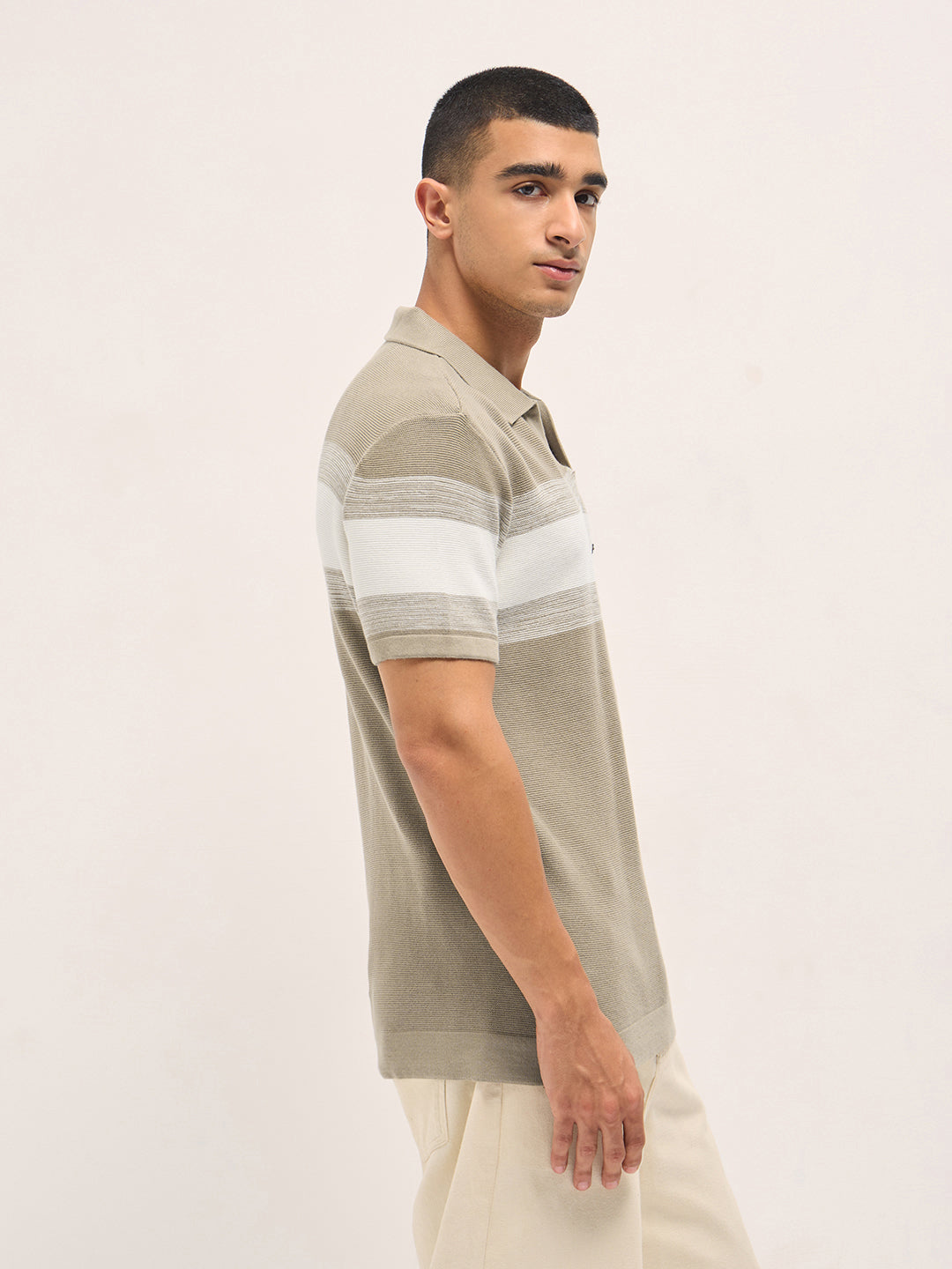 Men Beige Slim Fit Flat Knit Polo