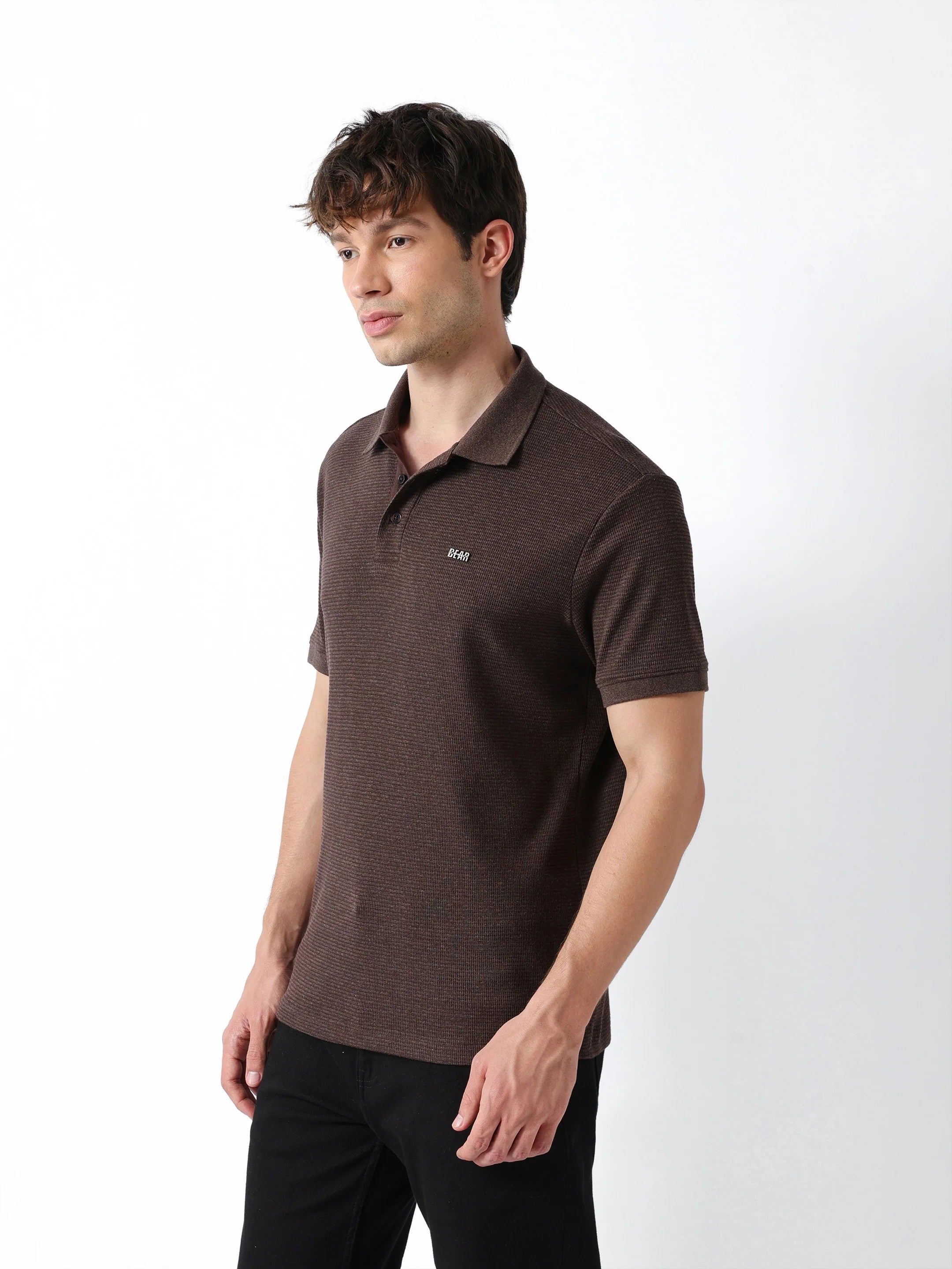 Men Brown Regular Fit Polo