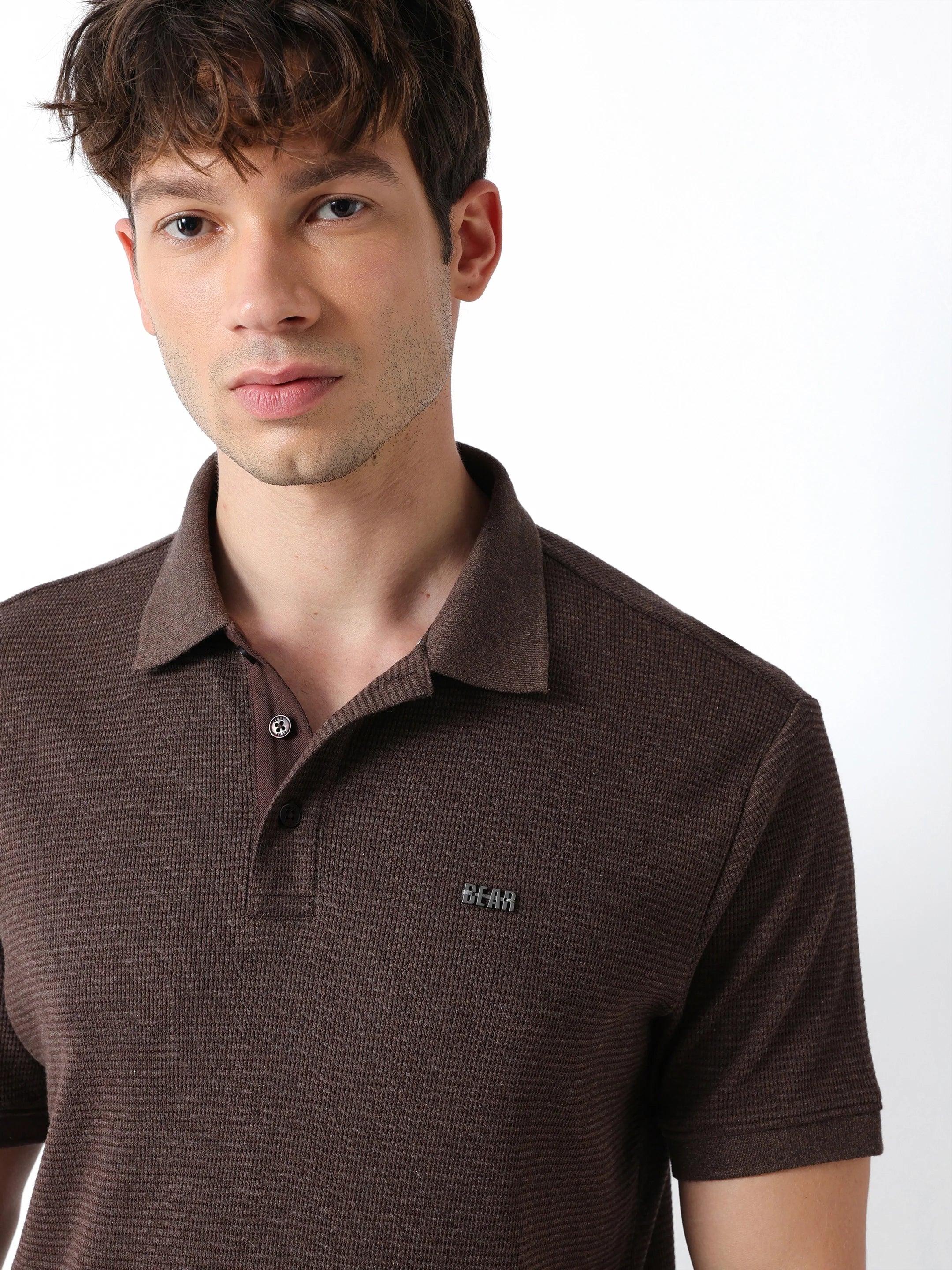 Men Brown Regular Fit Polo