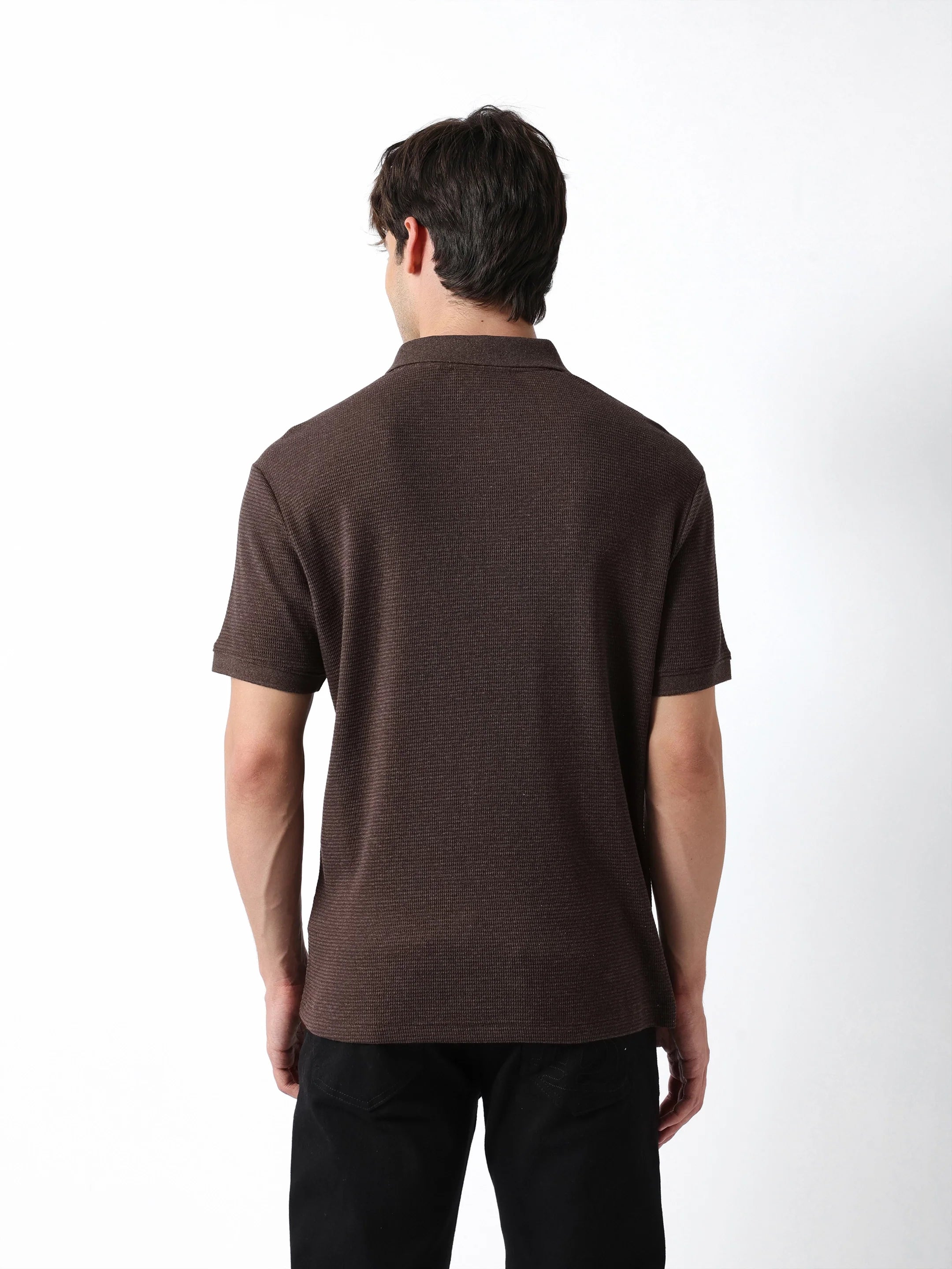Men Brown Regular Fit Polo