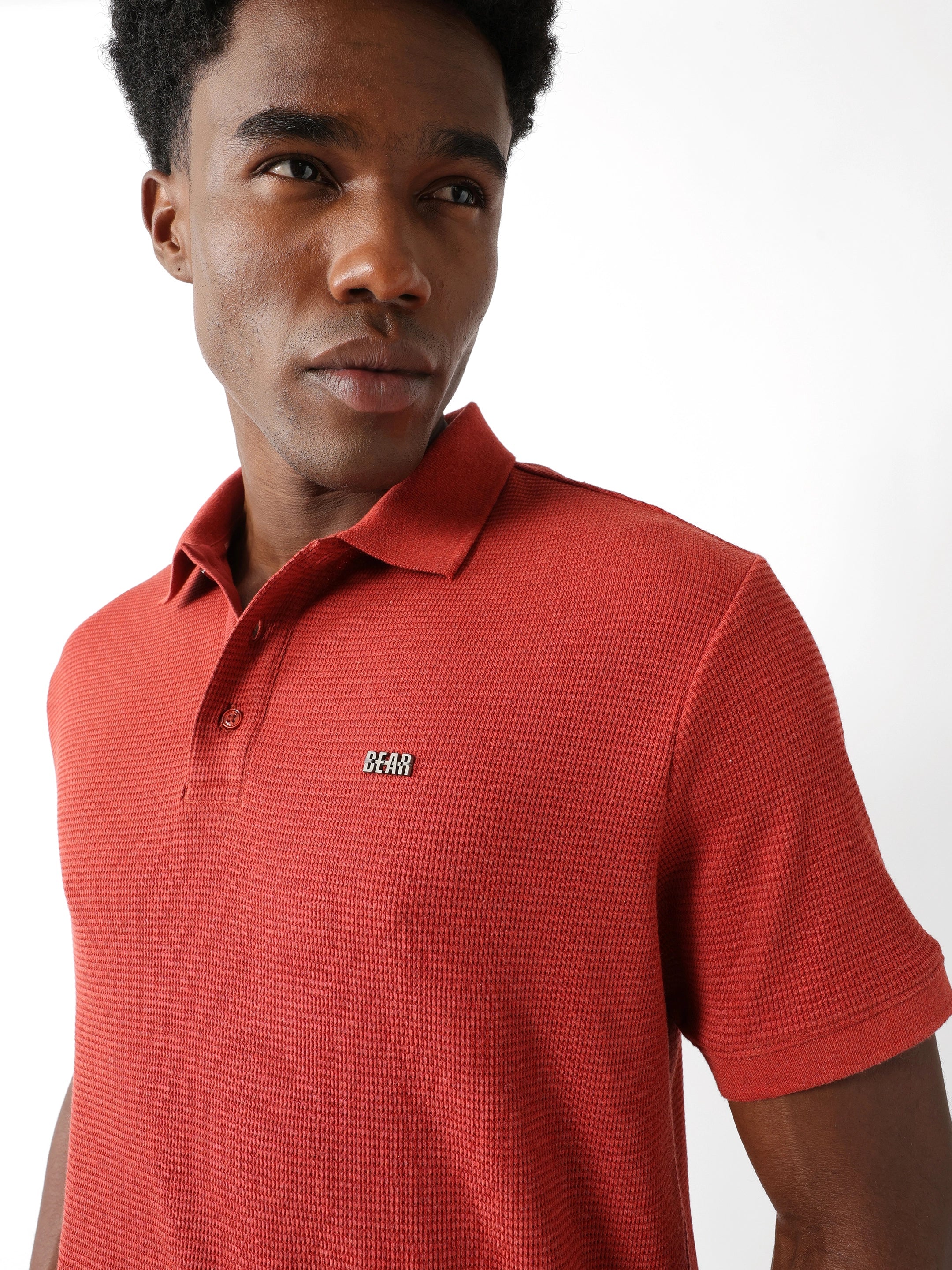 Men Rust Regular Fit Polo