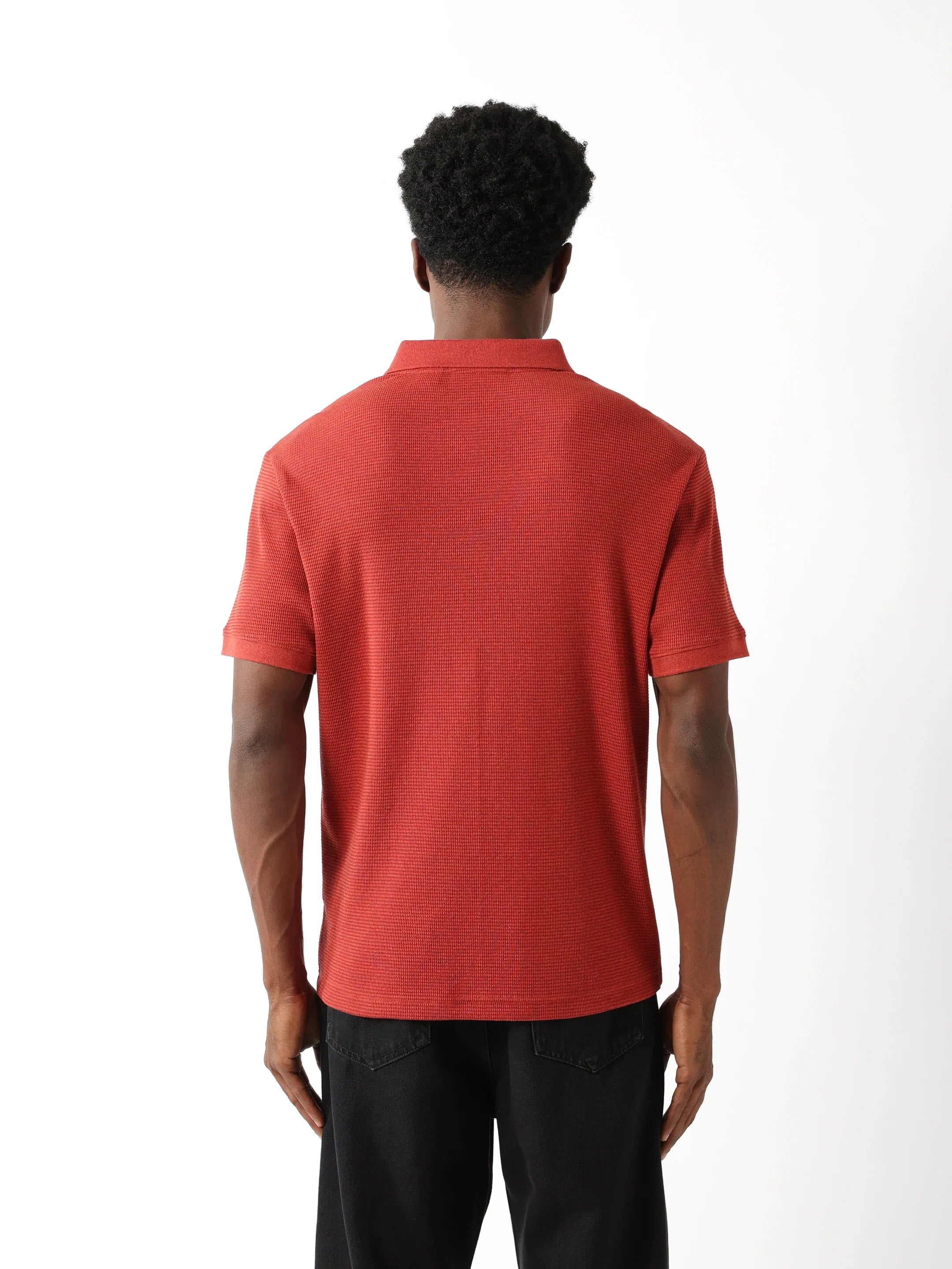 Men Rust Regular Fit Polo