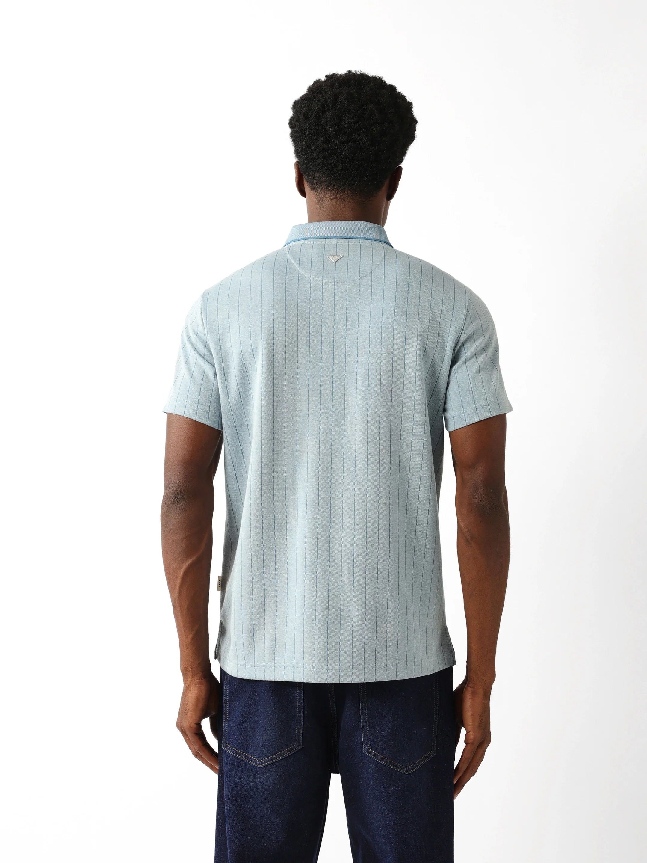 Men Blue Regular Fit Polo