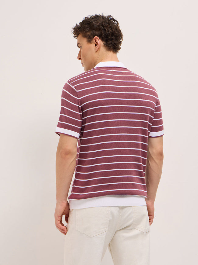 Men Maroon Slim Fit Polo