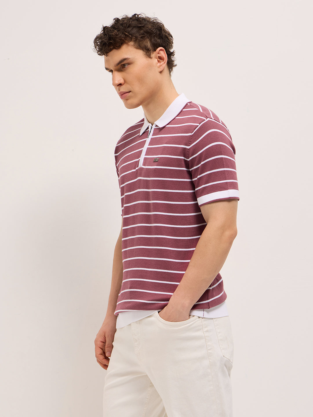 Men Maroon Slim Fit Polo