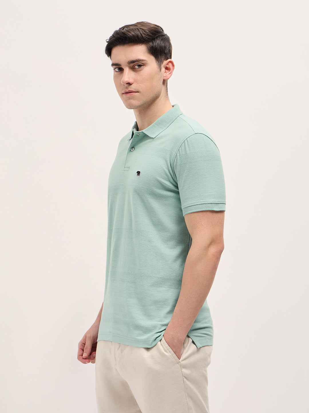 Men Mint Green Horizontal stripes Textured Knit Regular Fit Polo