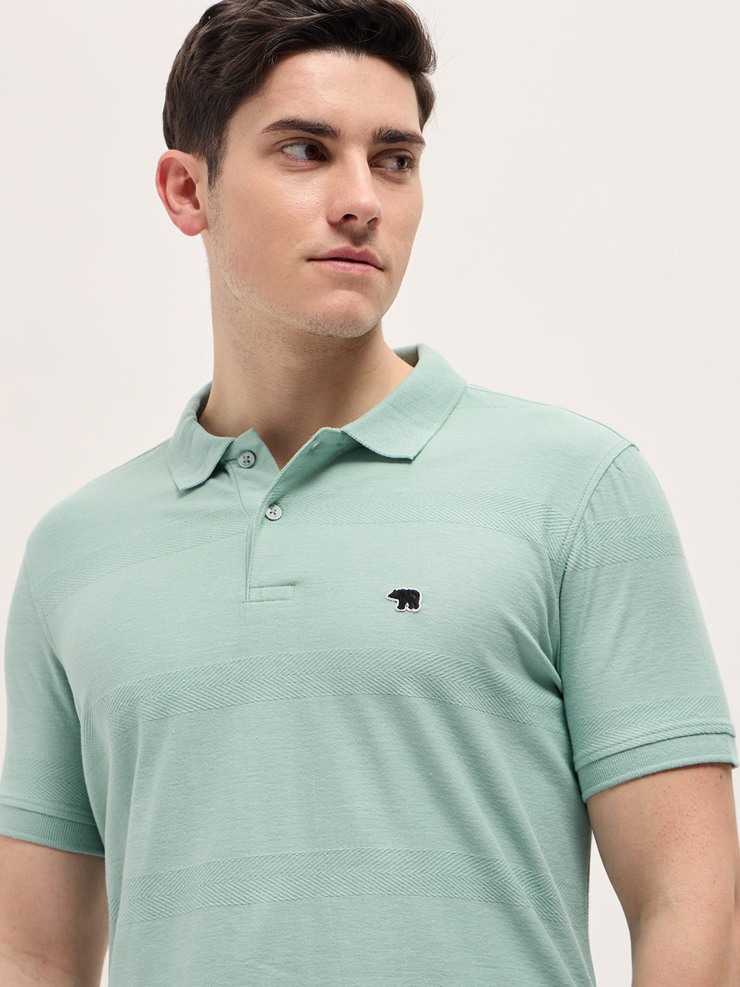 Men Mint Green Horizontal stripes Textured Knit Regular Fit Polo