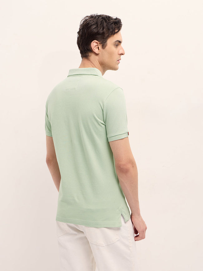 Men Light Green Solid Regular Fit Polo