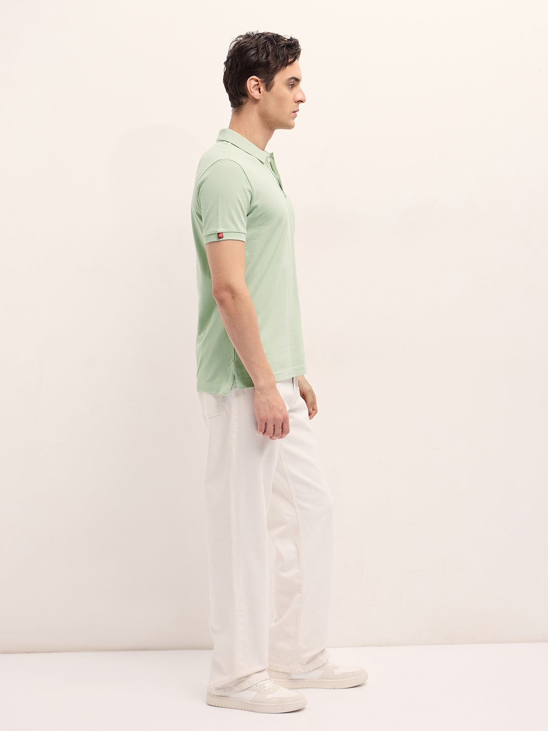 Men Light Green Solid Regular Fit Polo