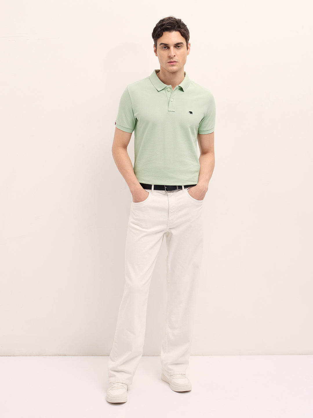 Men Light Green Solid Regular Fit Polo