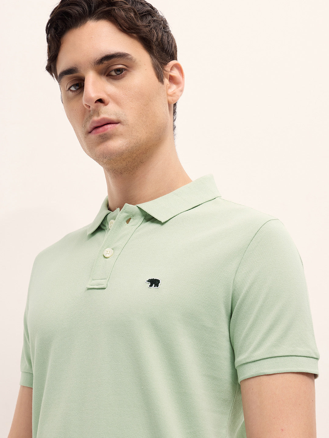 Men Light Green Solid Regular Fit Polo