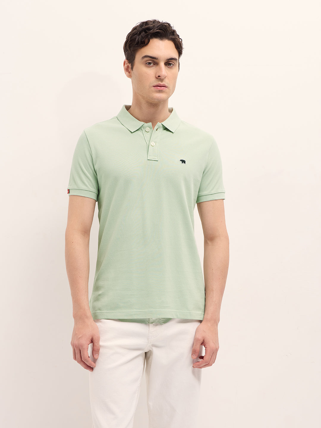Men Light Green Solid Regular Fit Polo