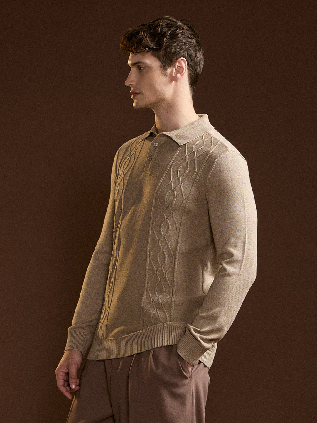 Men Brown Textured Geometrical Design Regular Fit Polo
