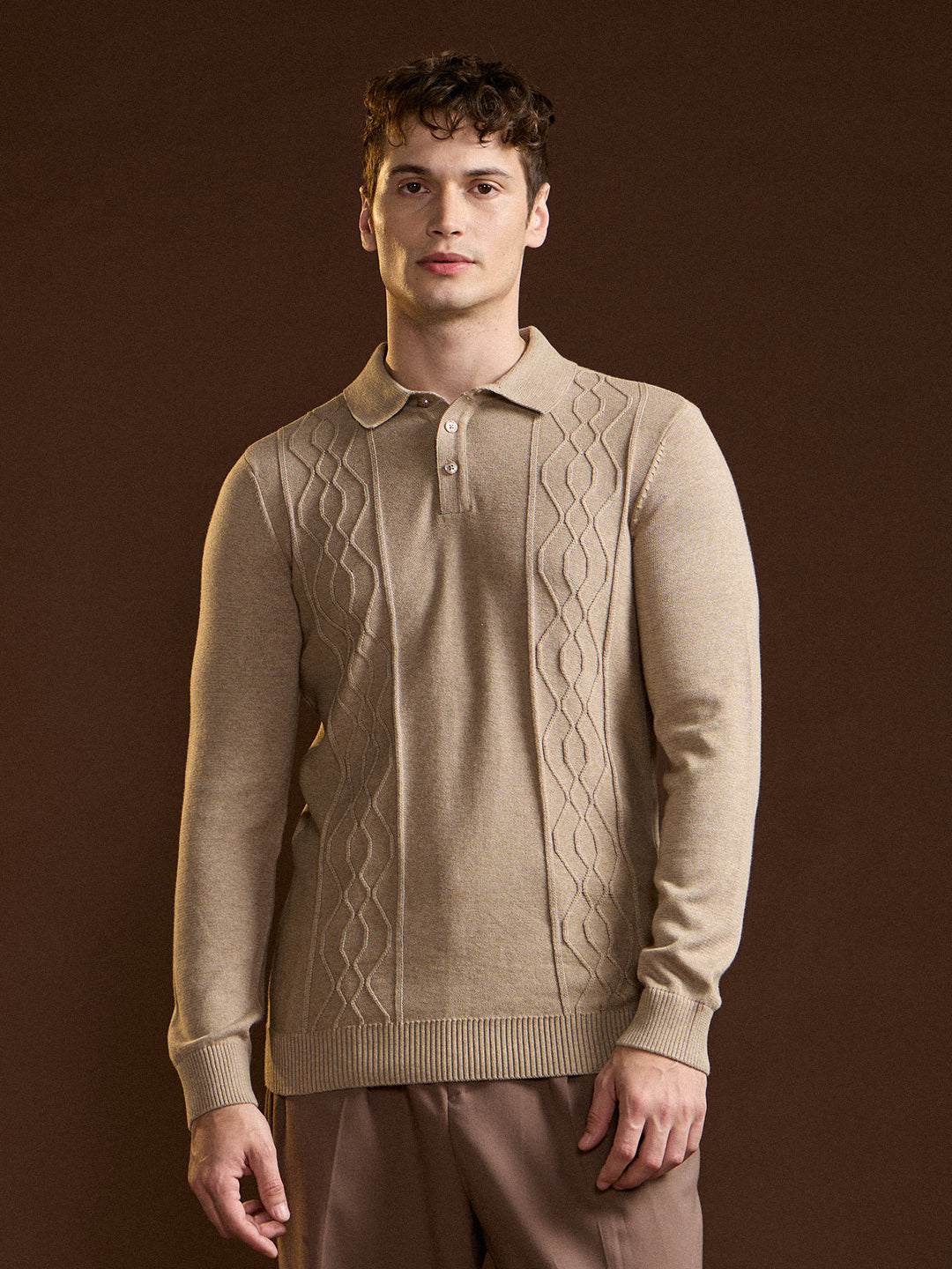 Men Brown Textured Geometrical Design Regular Fit Polo