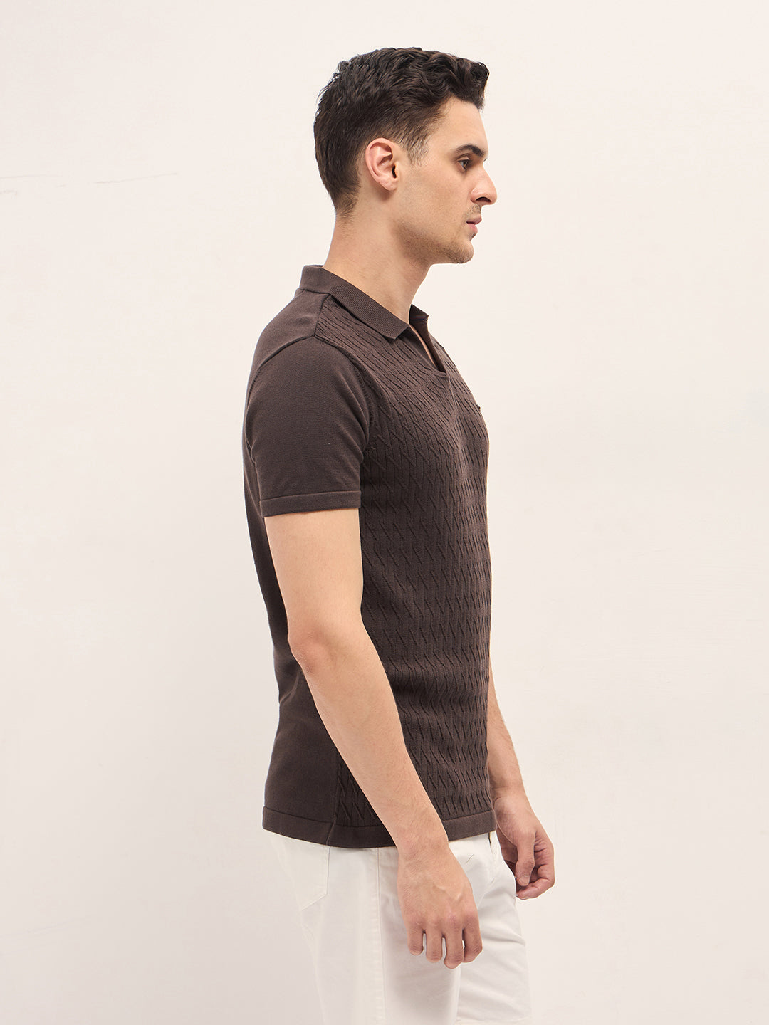 Men Brown Diagonal Knit Texture Regular Fit Polo