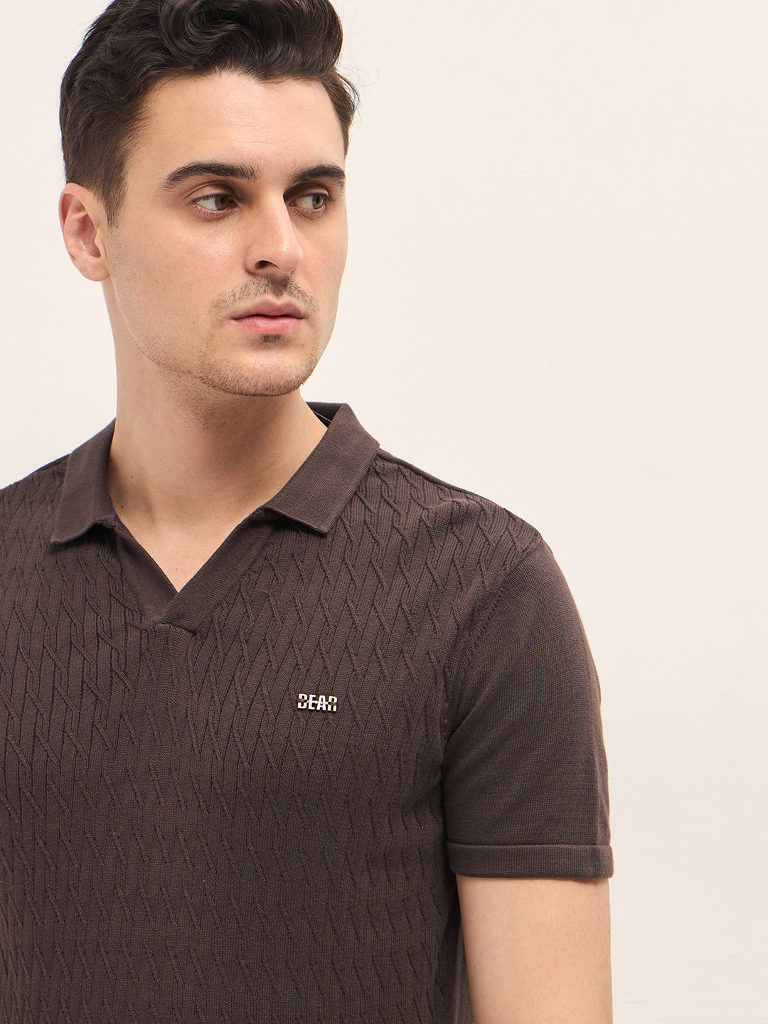Men Brown Diagonal Knit Texture Regular Fit Polo