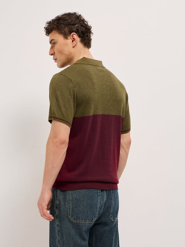 Men Olive & Maroon Color-Block Design Regular Fit Polo
