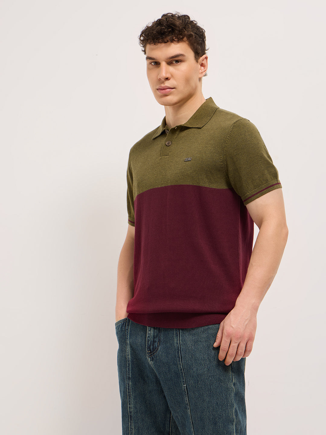 Men Olive & Maroon Color-Block Design Regular Fit Polo