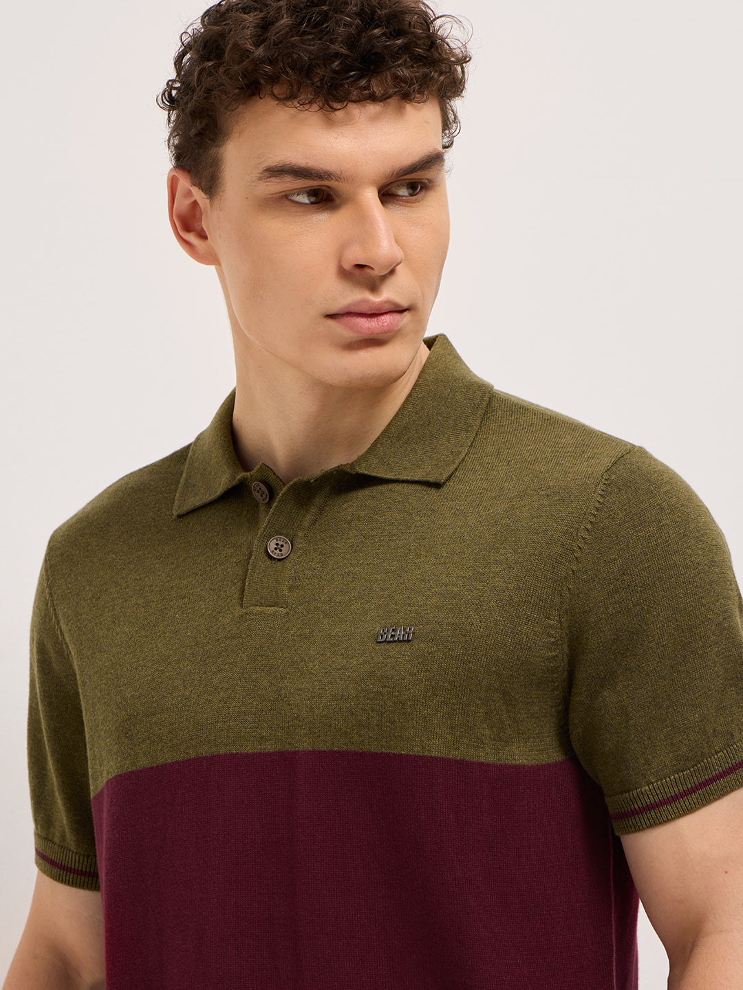 Men Olive & Maroon Color-Block Design Regular Fit Polo
