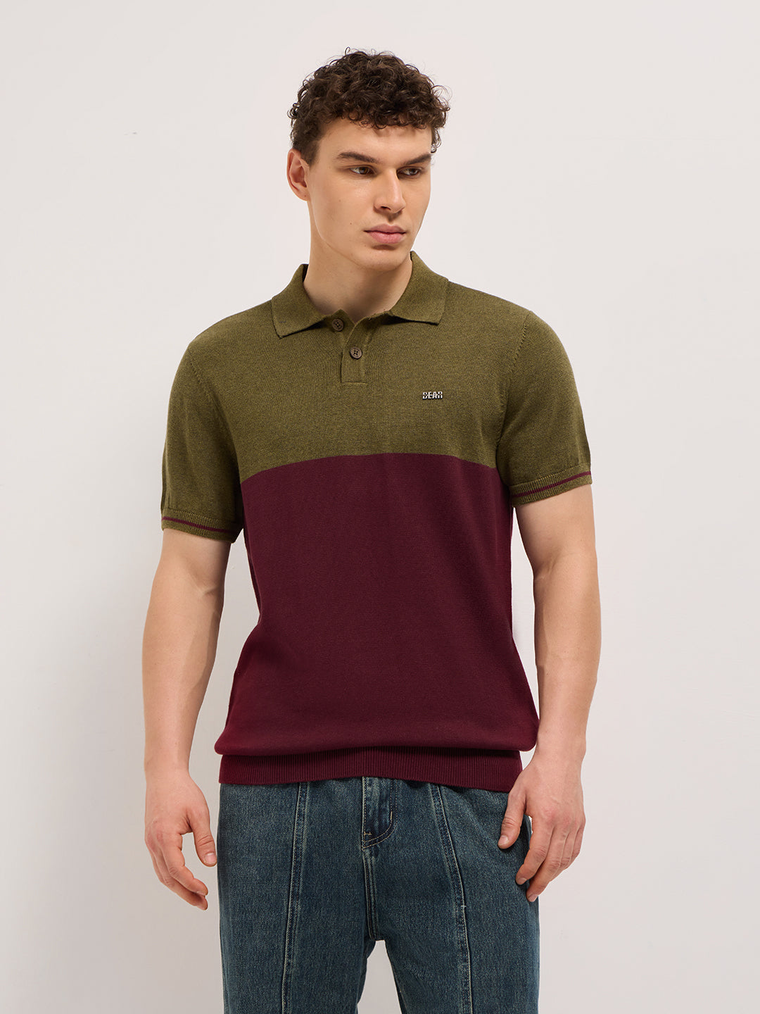 Men Olive & Maroon Color-Block Design Regular Fit Polo