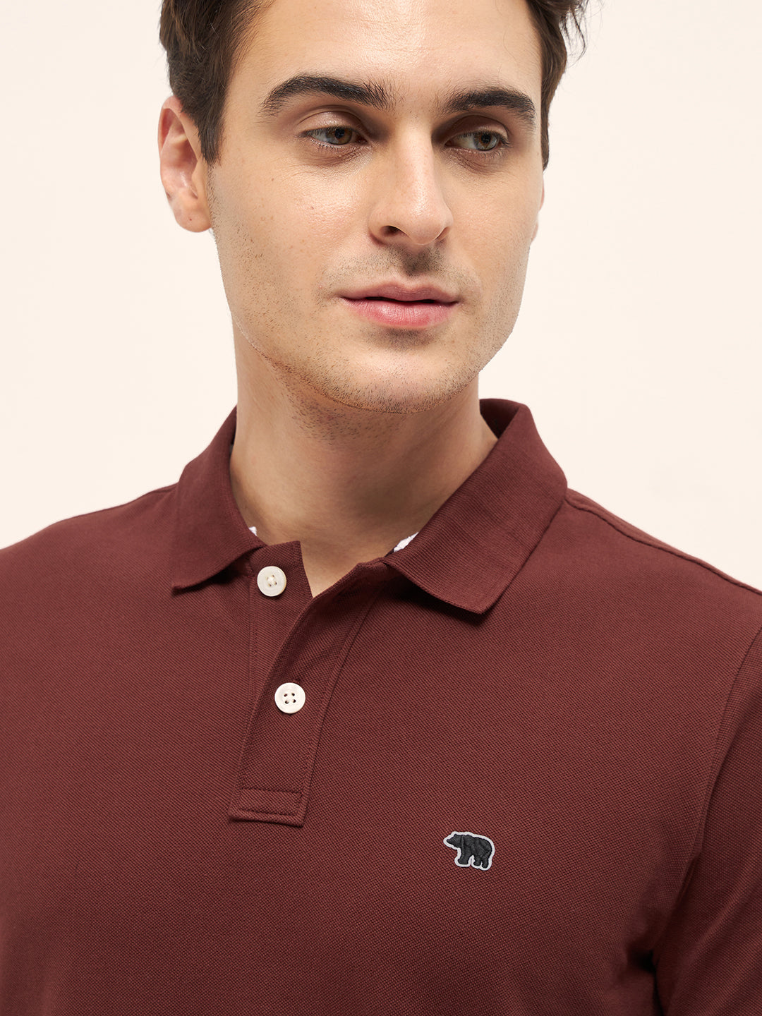 Men Rust Solid Regular Fit Polo