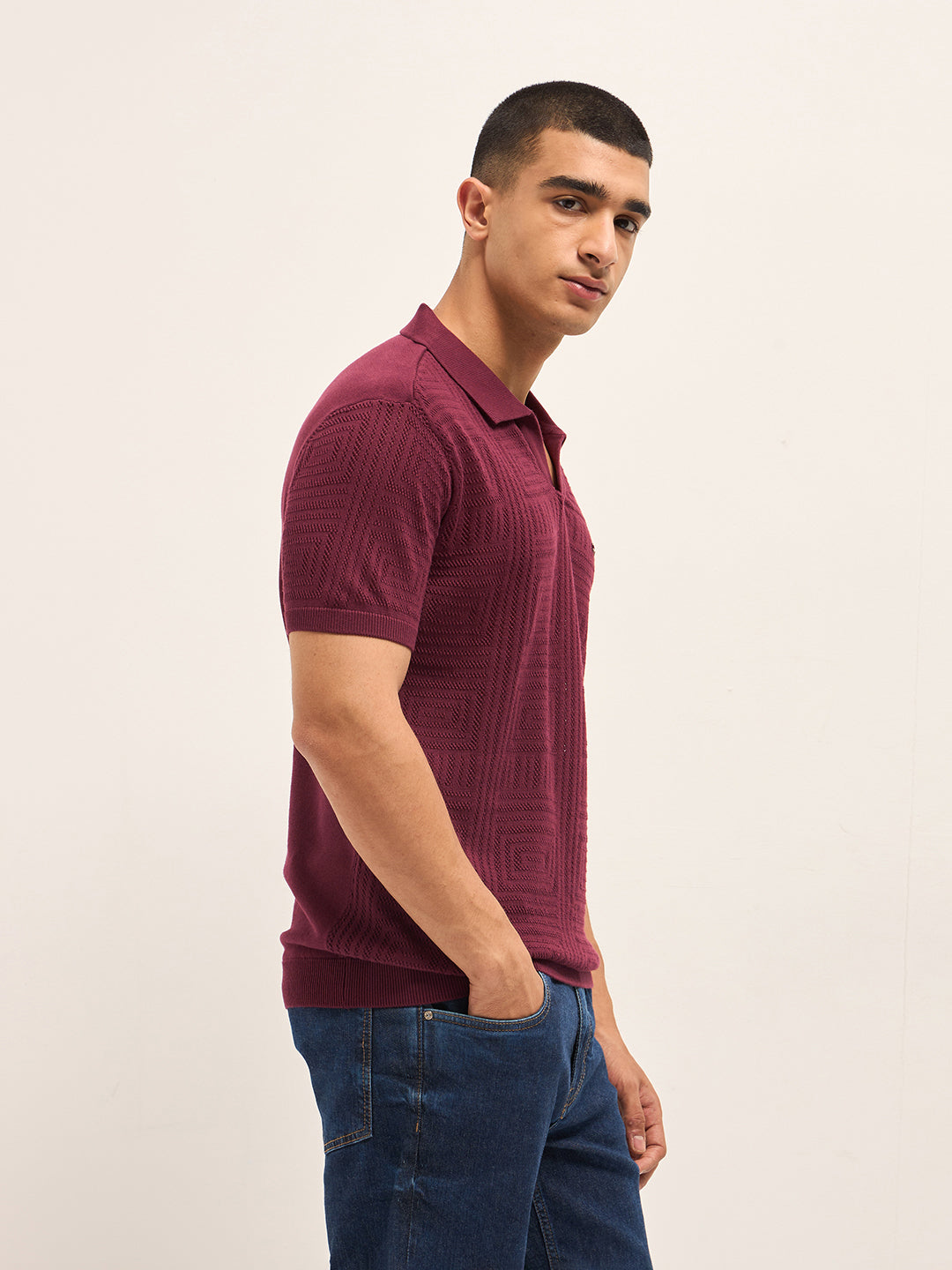 Men Maroon Slim Fit Polo