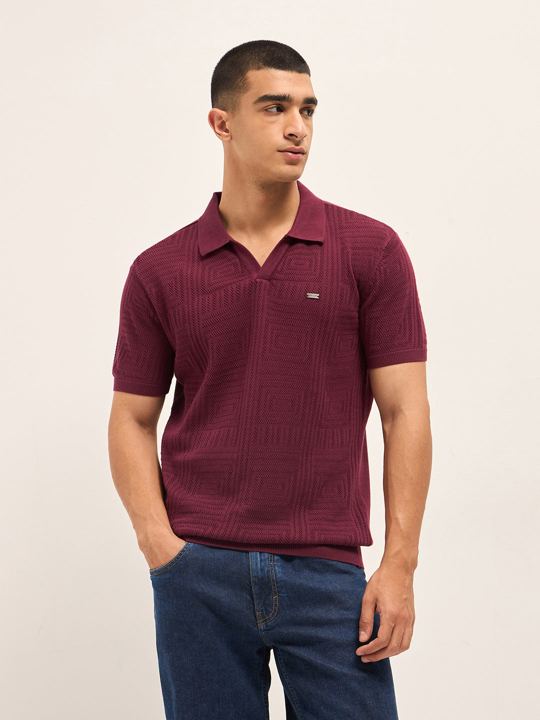 Men Maroon Slim Fit Polo