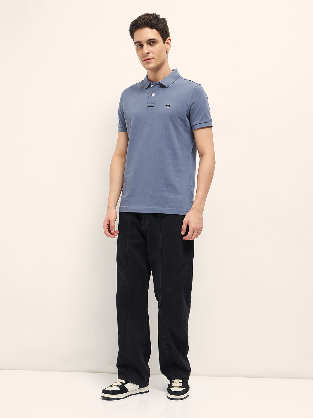 Men Blue Solid Regular Fit Polo