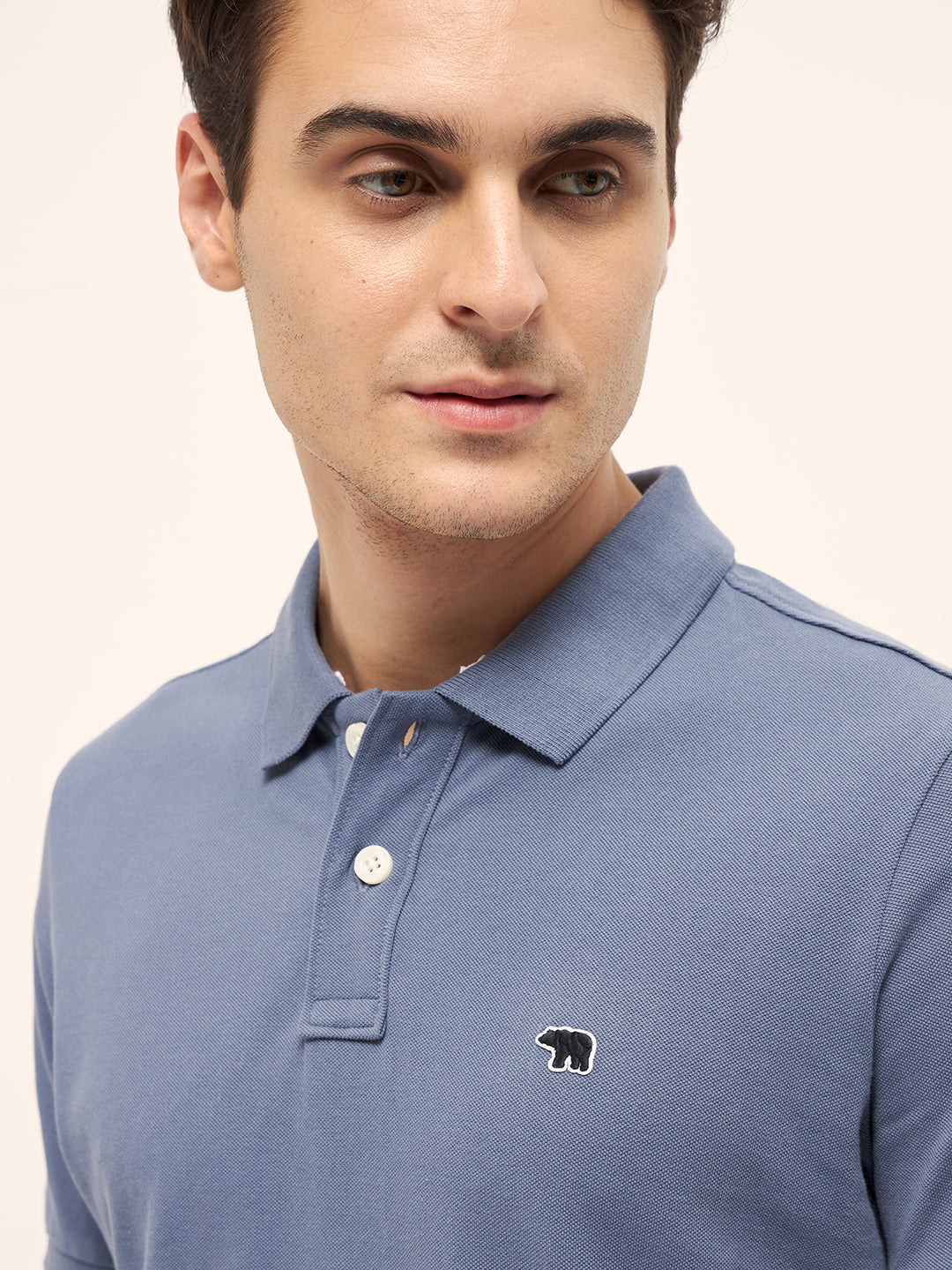 Men Blue Solid Regular Fit Polo