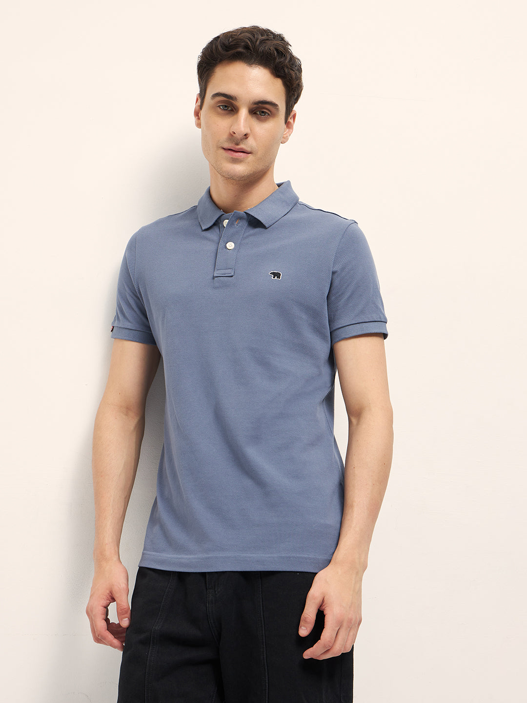 Men Blue Solid Regular Fit Polo