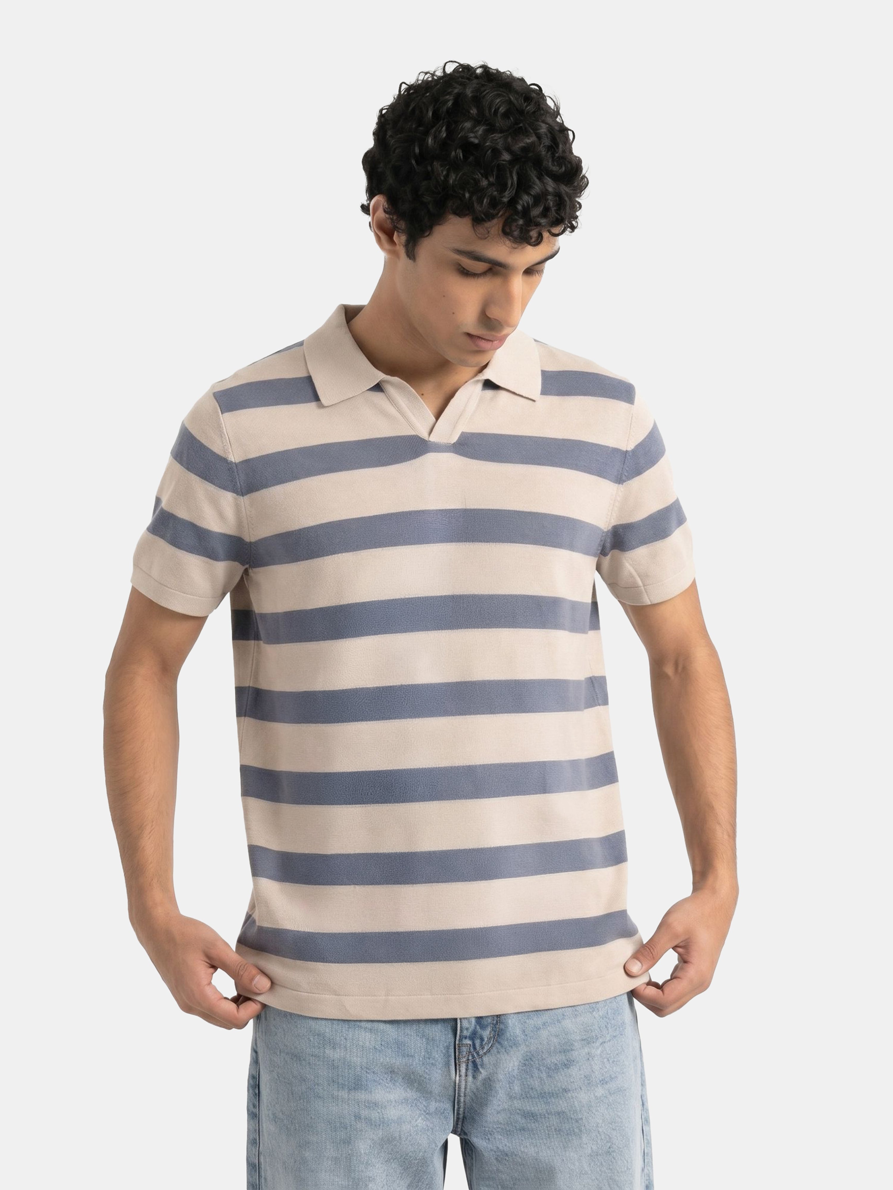 Men Blue Regular Fit Polo