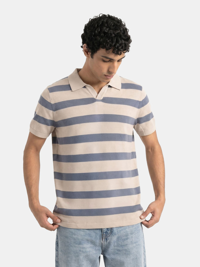 Men Blue Regular Fit Polo