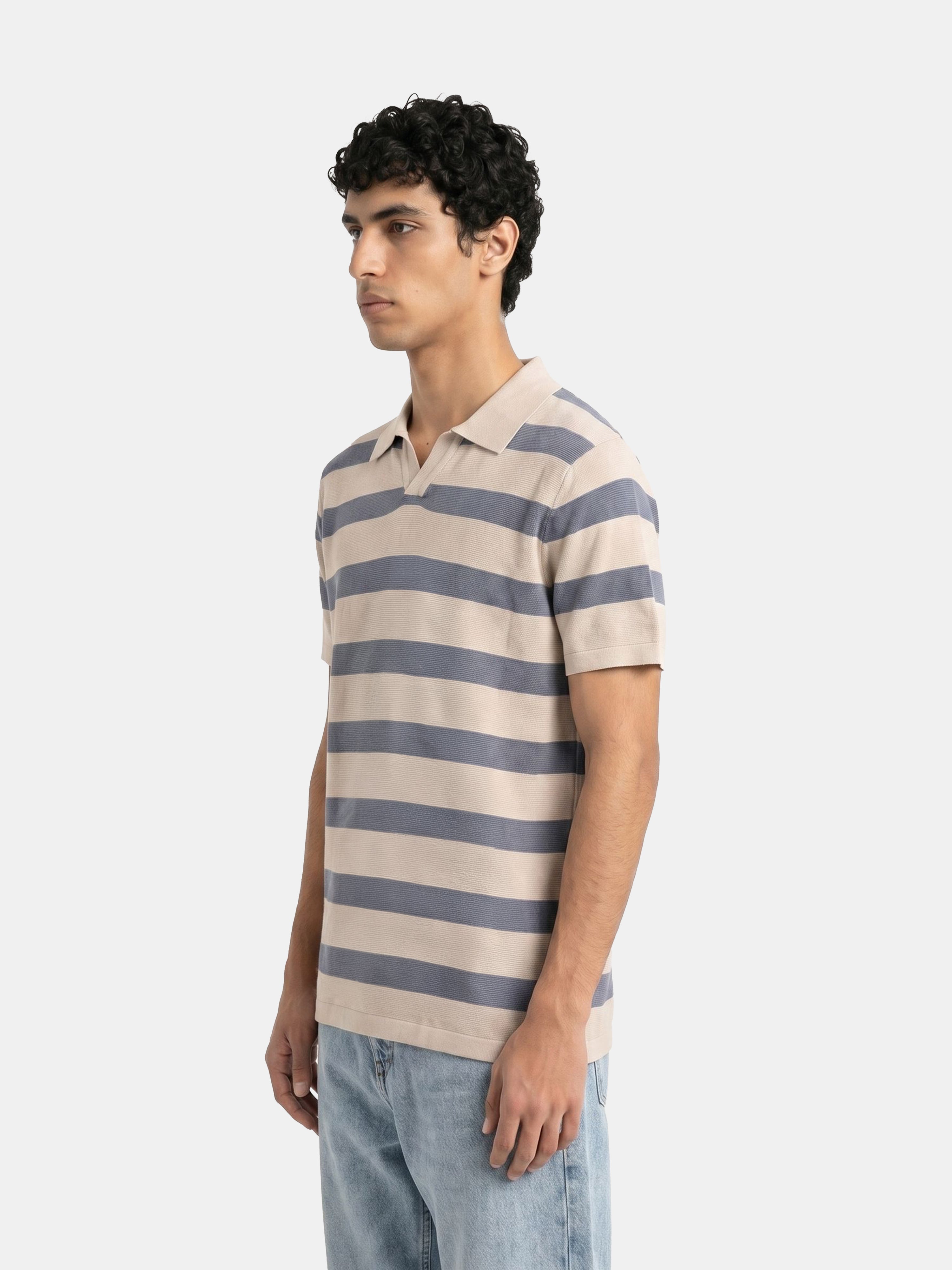 Men Blue Regular Fit Polo