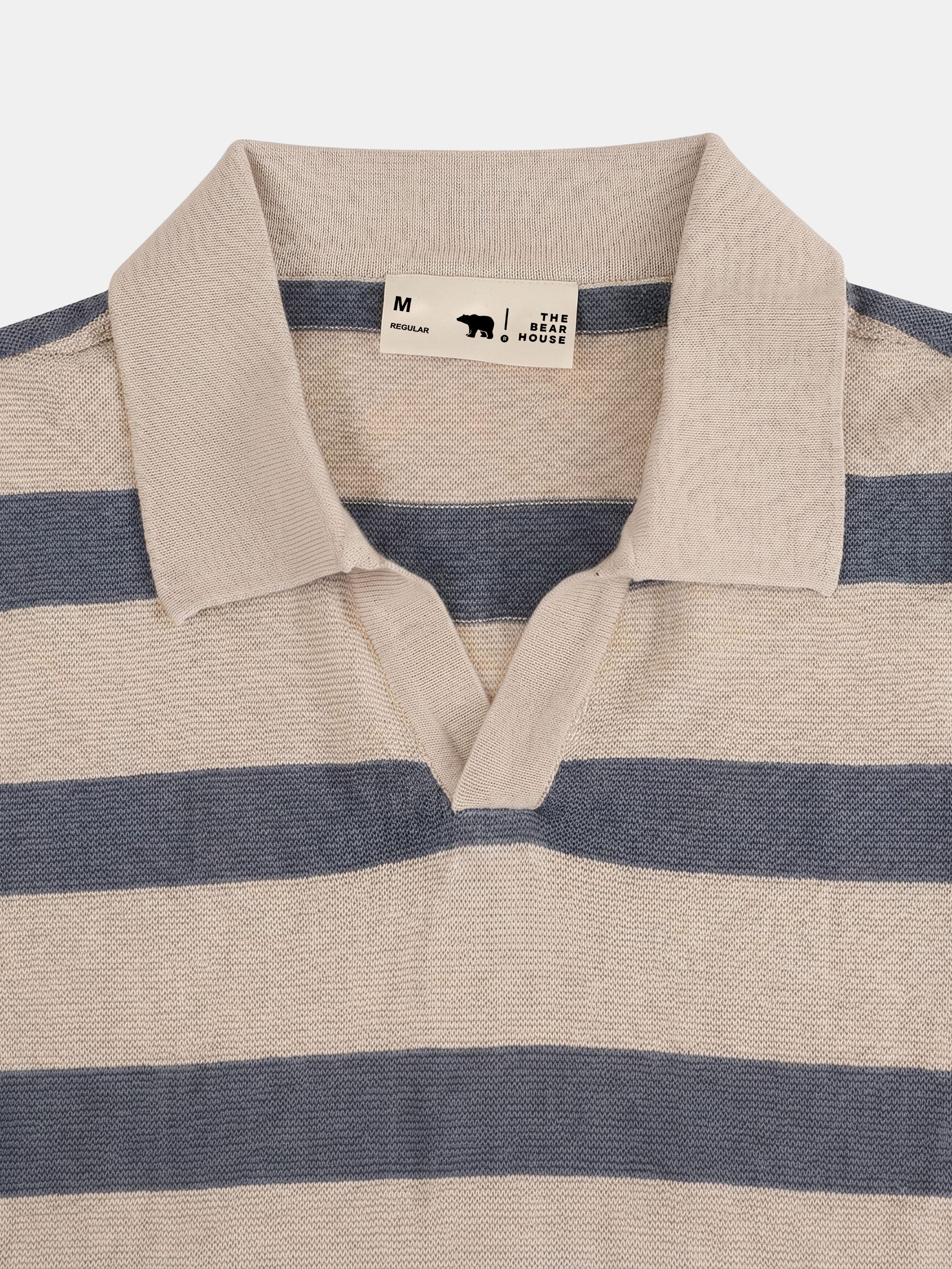 Men Blue Regular Fit Polo